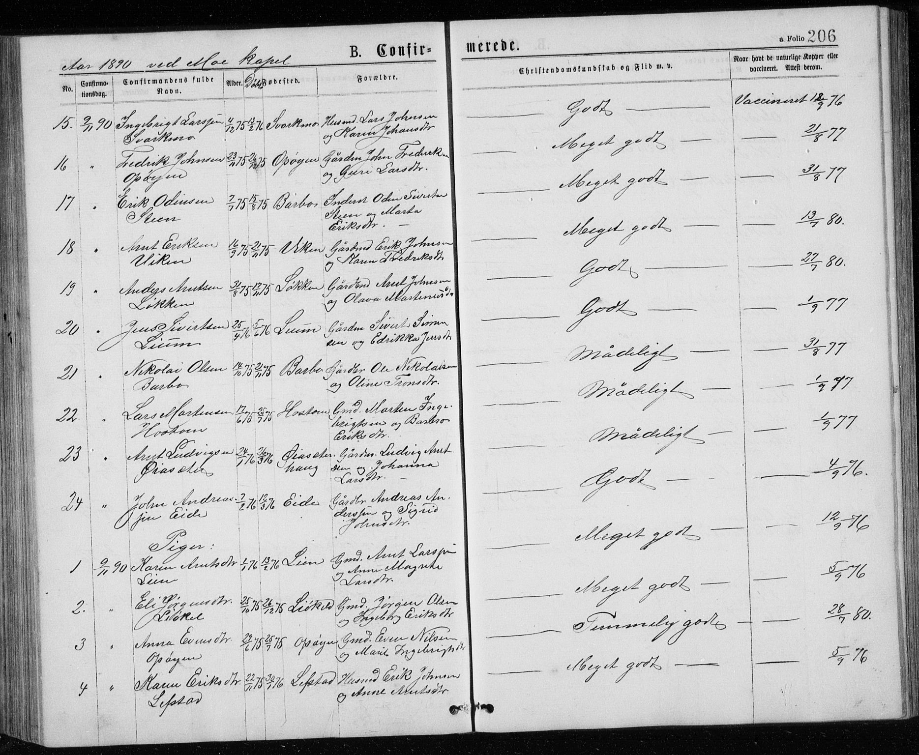 Ministerialprotokoller, klokkerbøker og fødselsregistre - Sør-Trøndelag, SAT/A-1456/671/L0843: Parish register (copy) no. 671C02, 1873-1892, p. 206