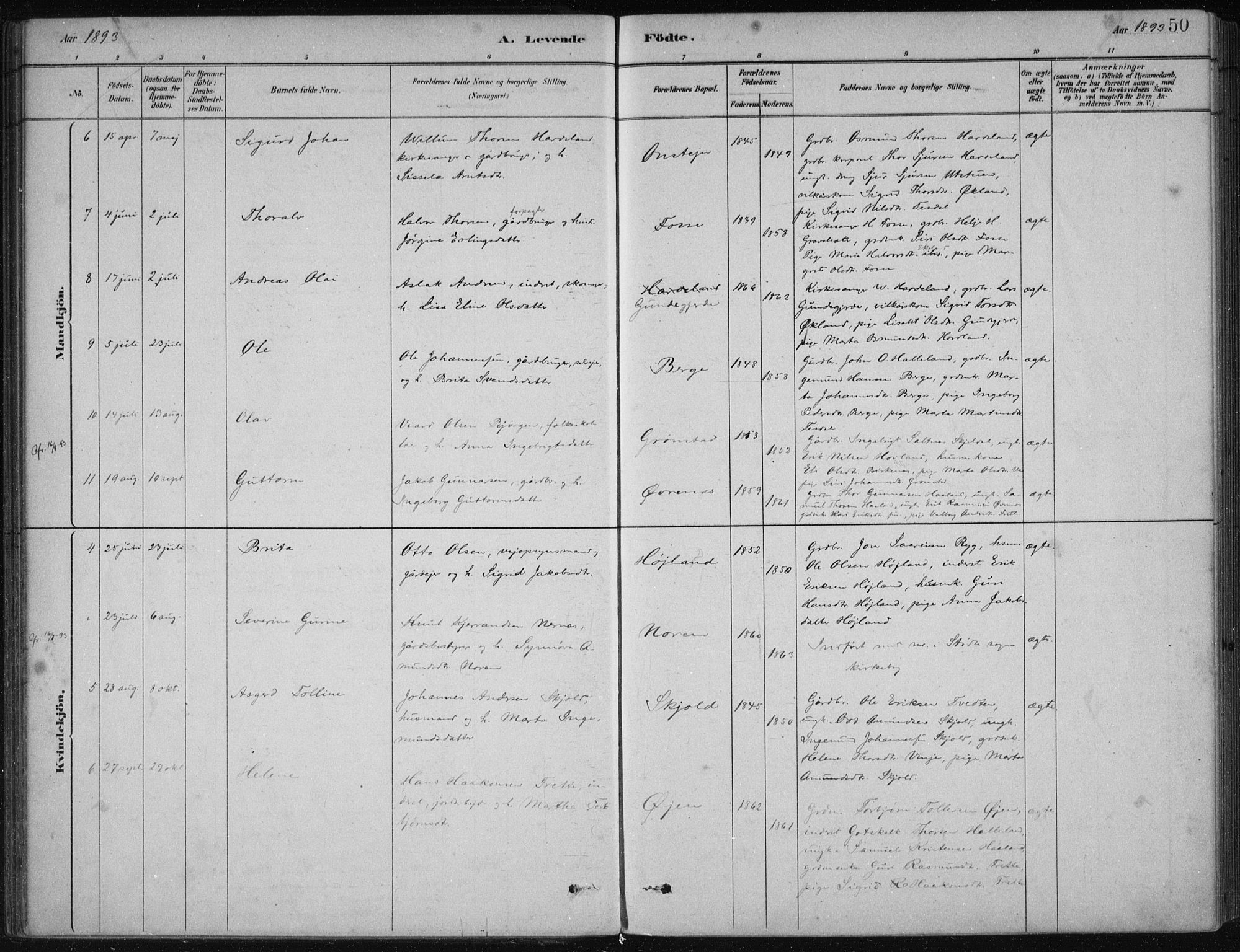Etne sokneprestembete, SAB/A-75001/H/Haa: Parish register (official) no. D  1, 1879-1919, p. 50