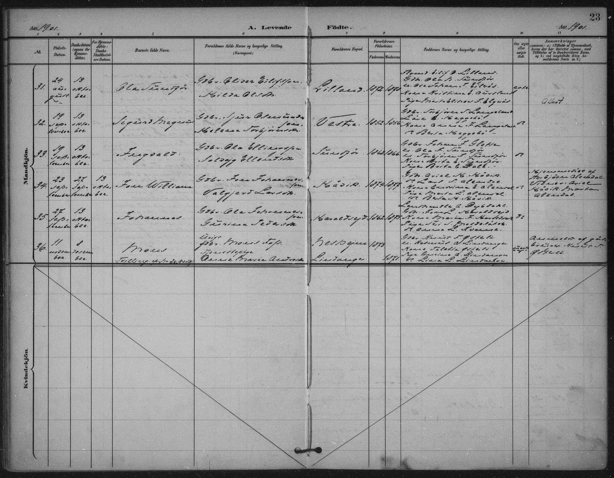 Skjold sokneprestkontor, AV/SAST-A-101847/H/Ha/Haa/L0011: Parish register (official) no. A 11, 1897-1914, p. 23