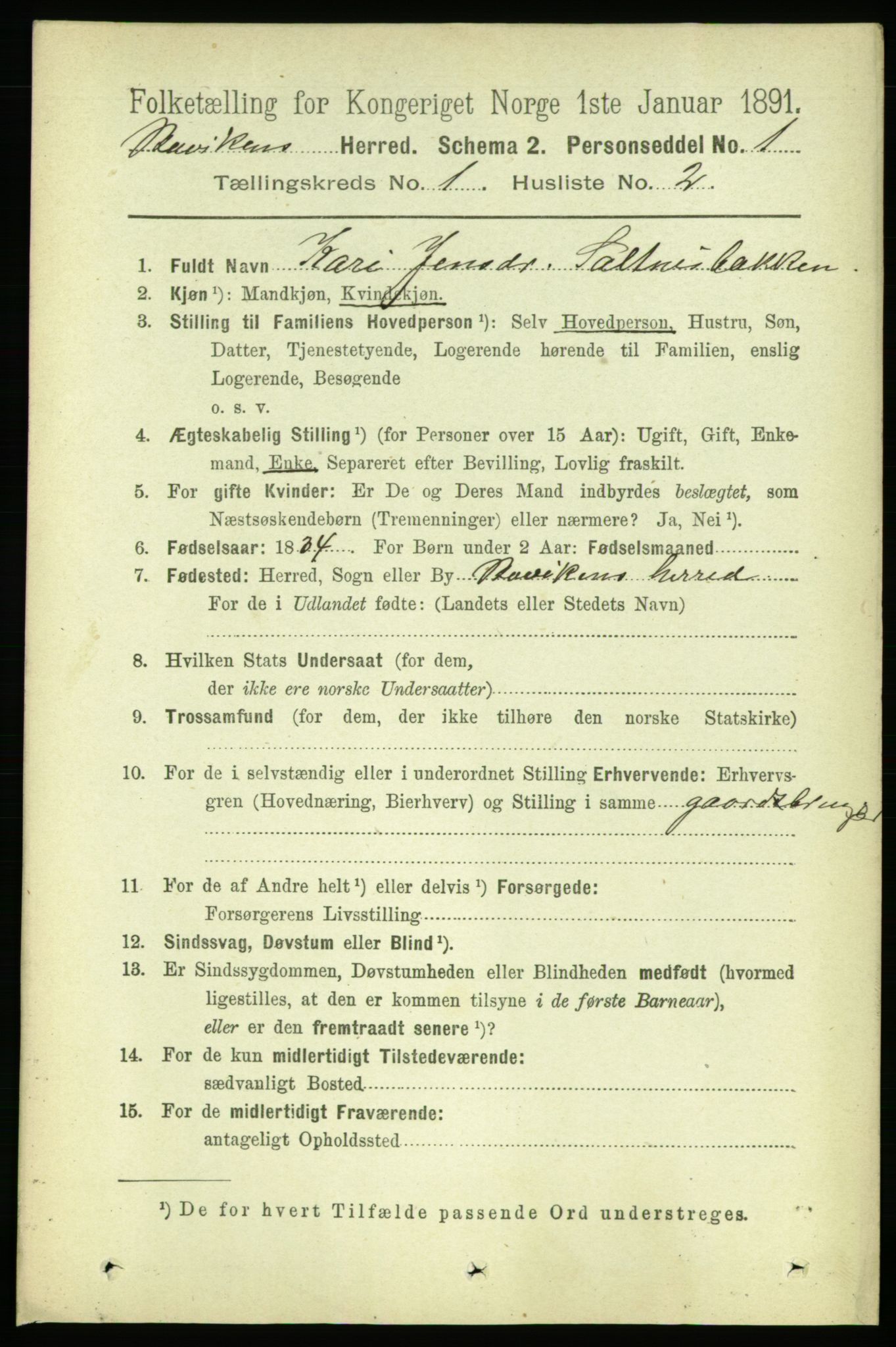 RA, 1891 census for 1656 Buvik, 1891, p. 113