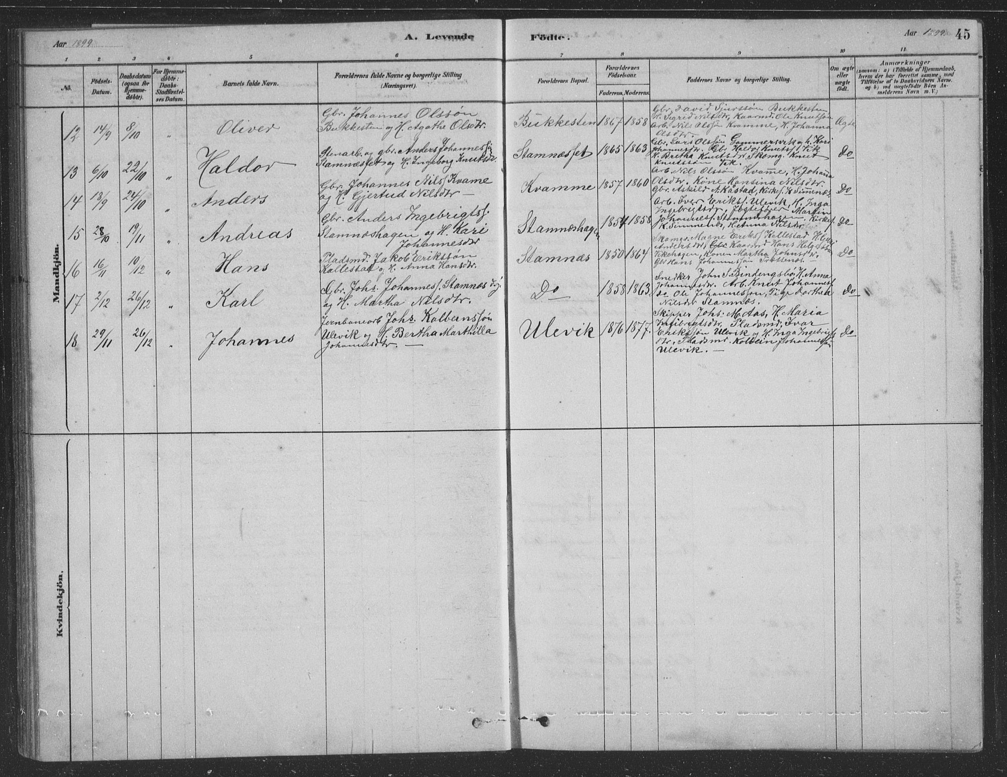 Vaksdal Sokneprestembete, SAB/A-78901/H/Hab: Parish register (copy) no. D 1, 1878-1939, p. 45