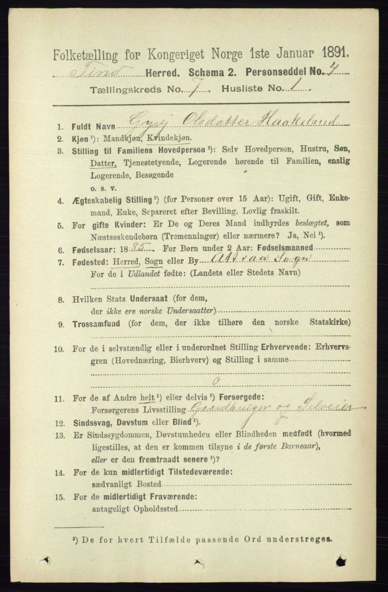RA, 1891 census for 0826 Tinn, 1891, p. 1442