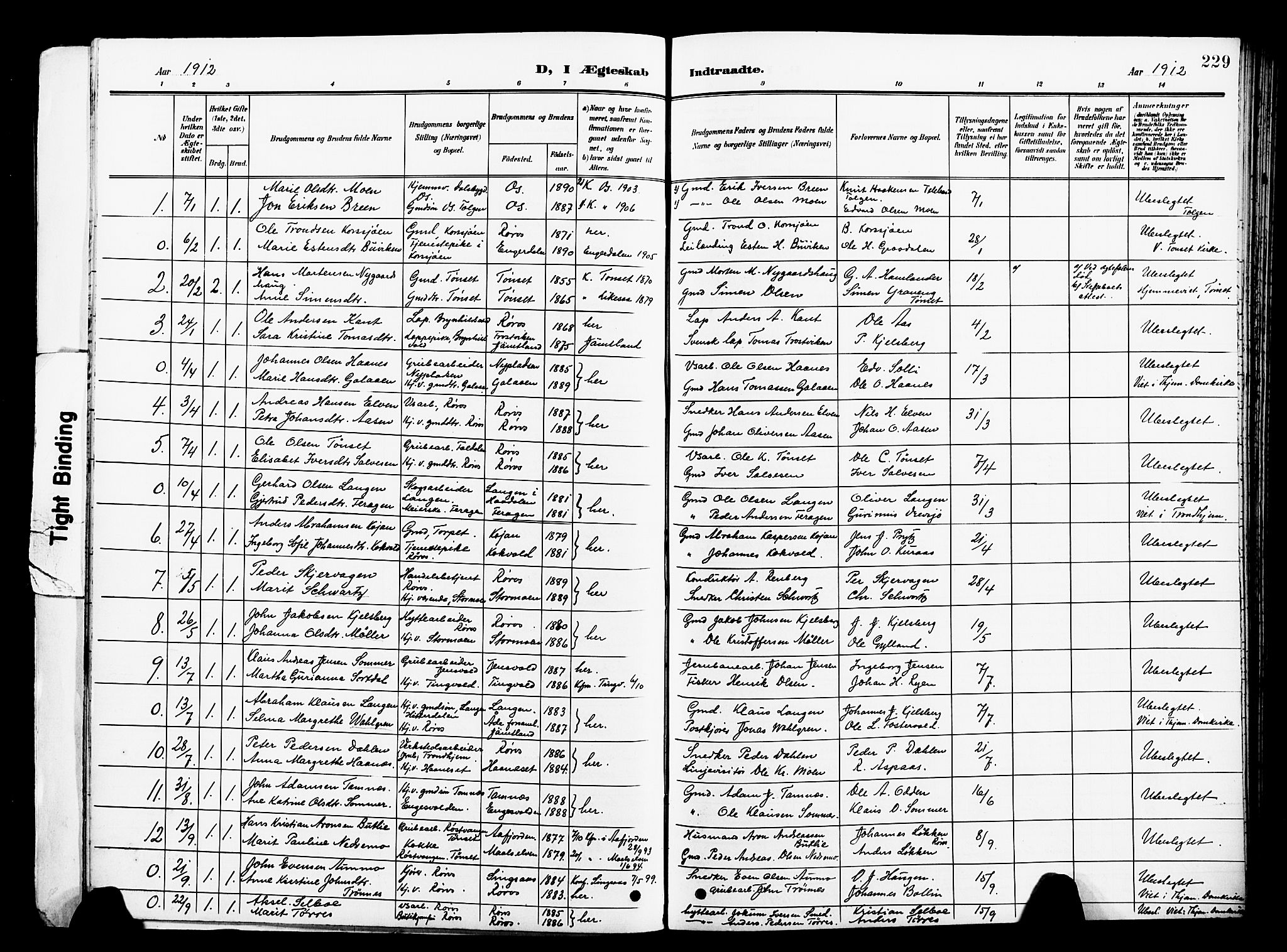 Ministerialprotokoller, klokkerbøker og fødselsregistre - Sør-Trøndelag, SAT/A-1456/681/L0942: Parish register (copy) no. 681C06, 1906-1925, p. 229