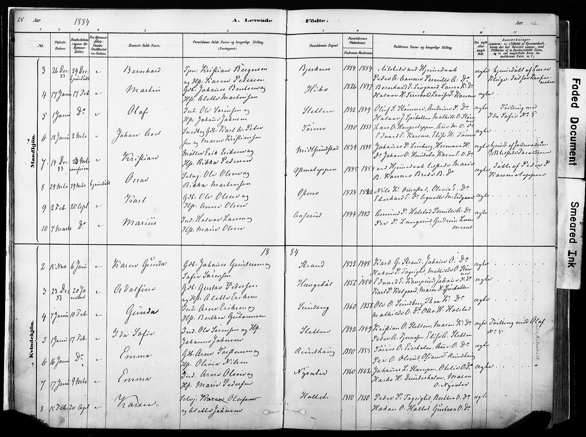 Hof prestekontor, AV/SAH-PREST-038/H/Ha/Haa/L0010: Parish register (official) no. 10, 1878-1909, p. 25