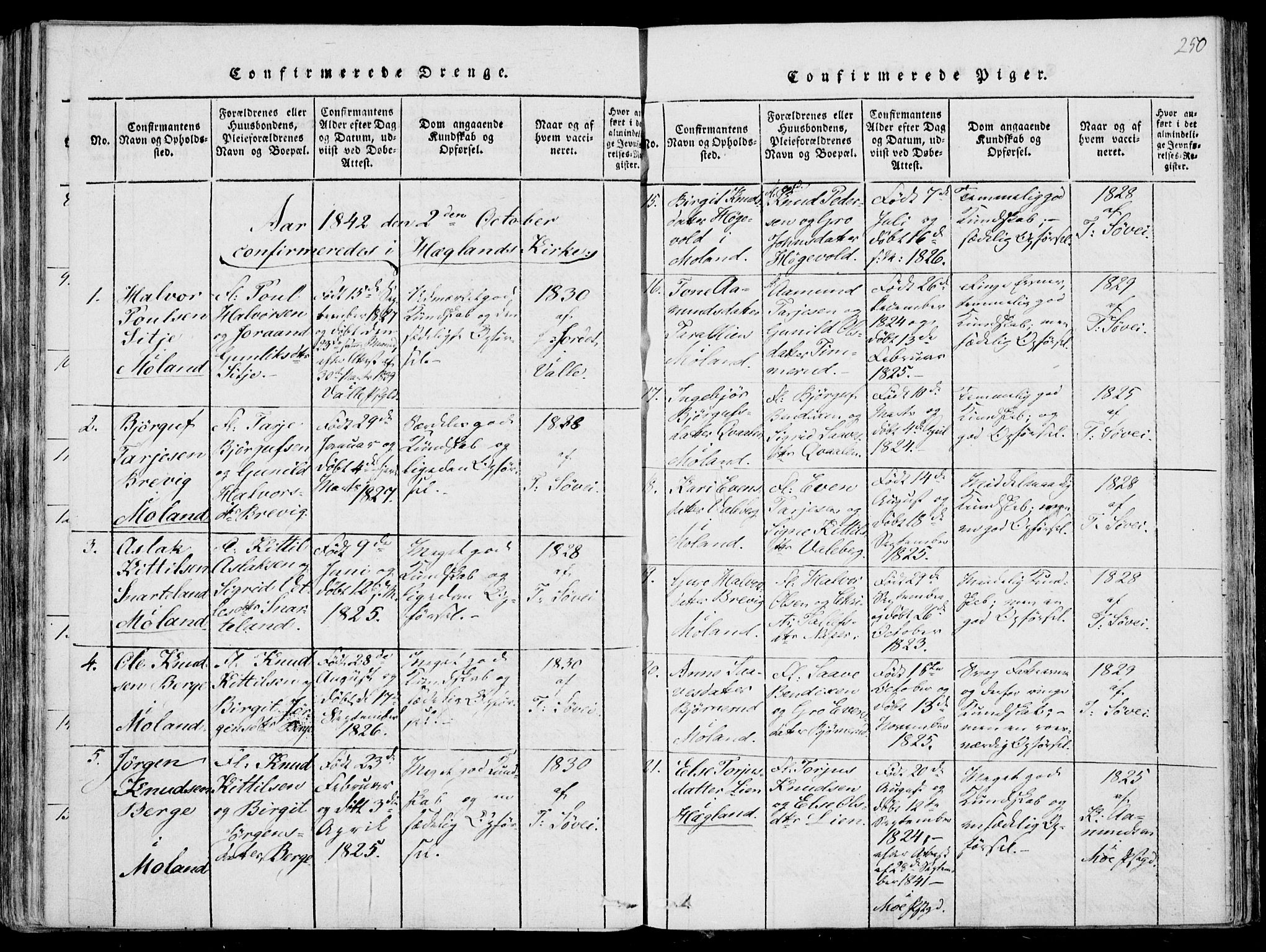 Fyresdal kirkebøker, SAKO/A-263/F/Fa/L0004: Parish register (official) no. I 4, 1815-1854, p. 250