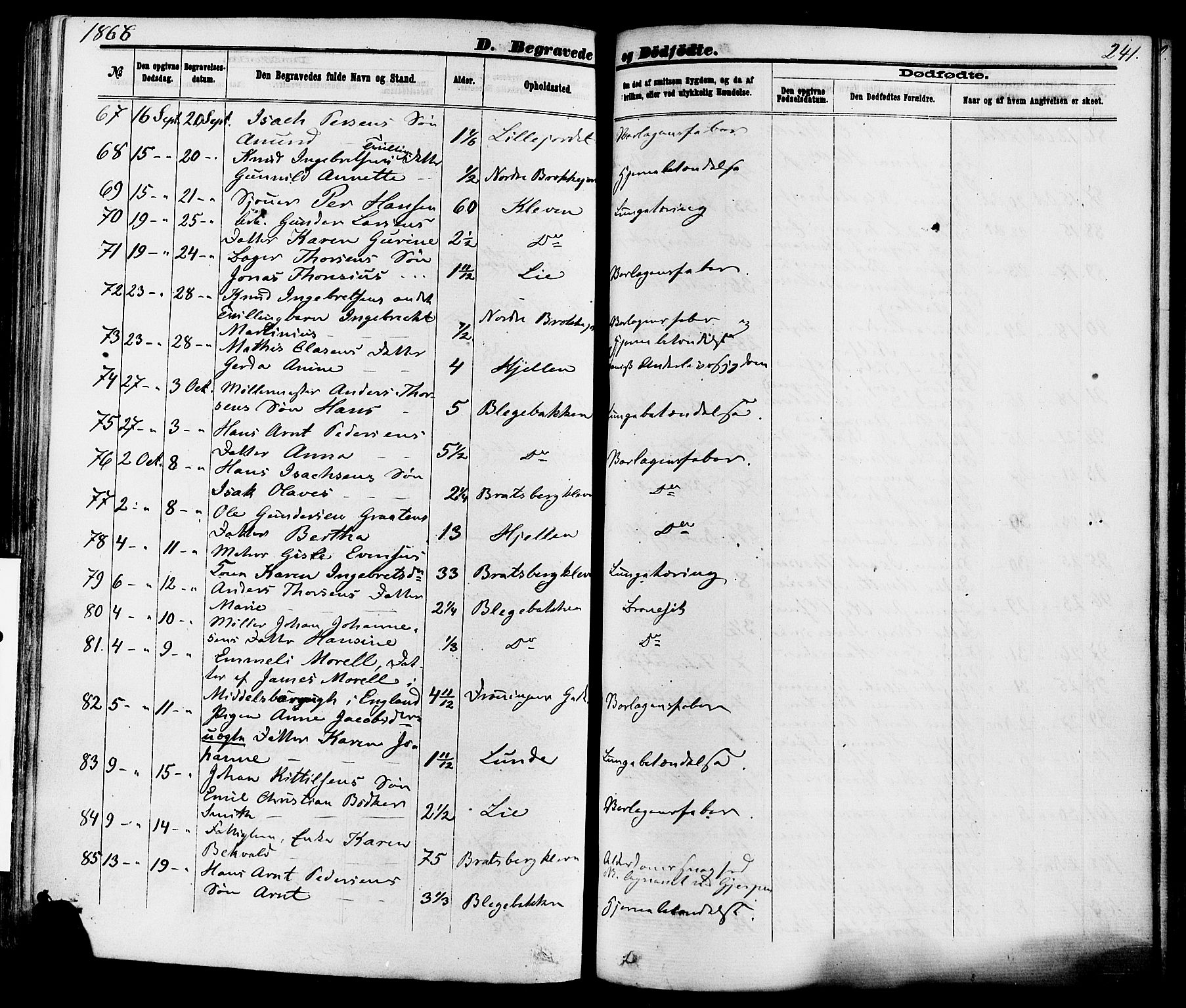 Skien kirkebøker, AV/SAKO-A-302/F/Fa/L0008: Parish register (official) no. 8, 1866-1877, p. 241