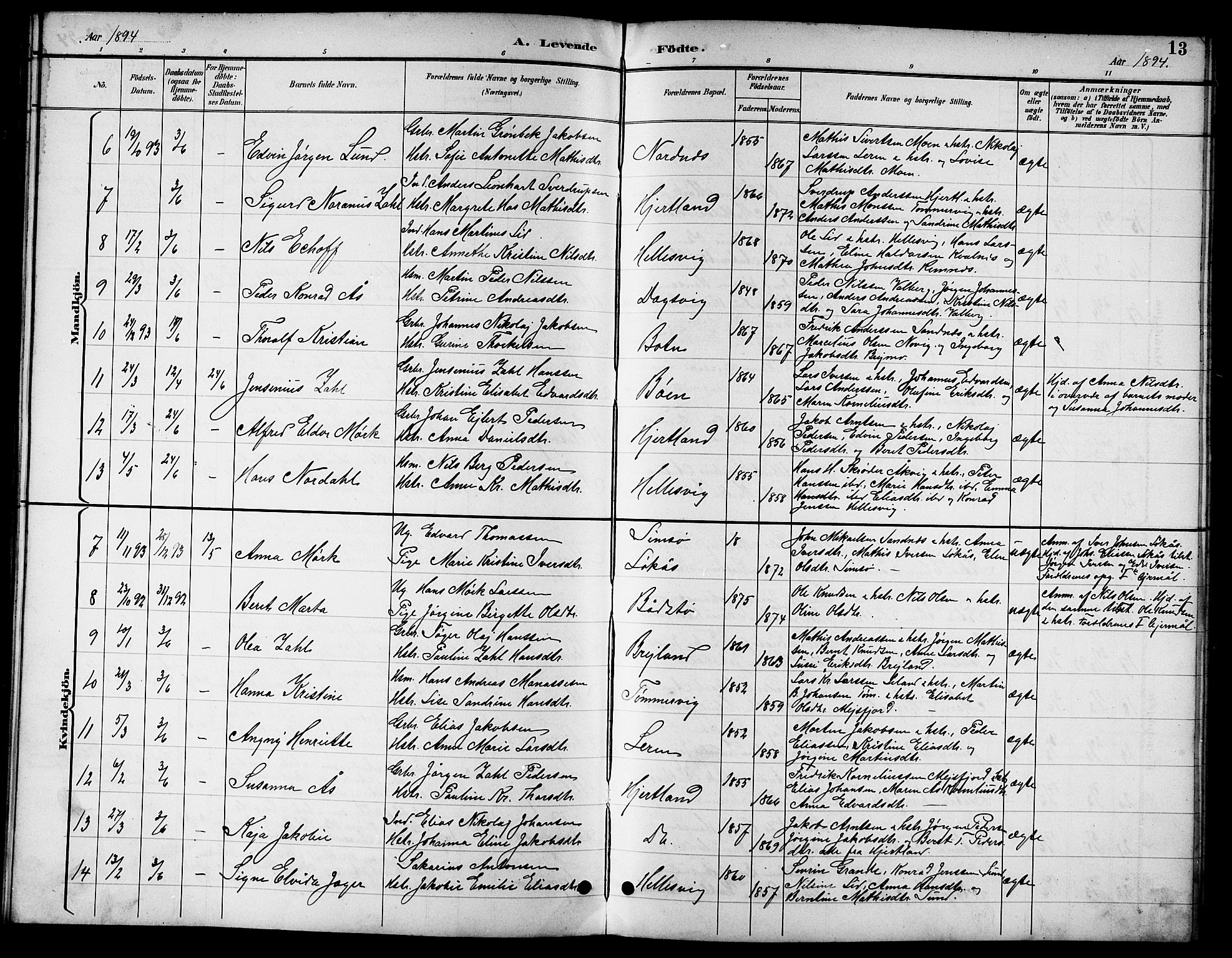 Ministerialprotokoller, klokkerbøker og fødselsregistre - Nordland, SAT/A-1459/831/L0478: Parish register (copy) no. 831C05, 1892-1909, p. 13