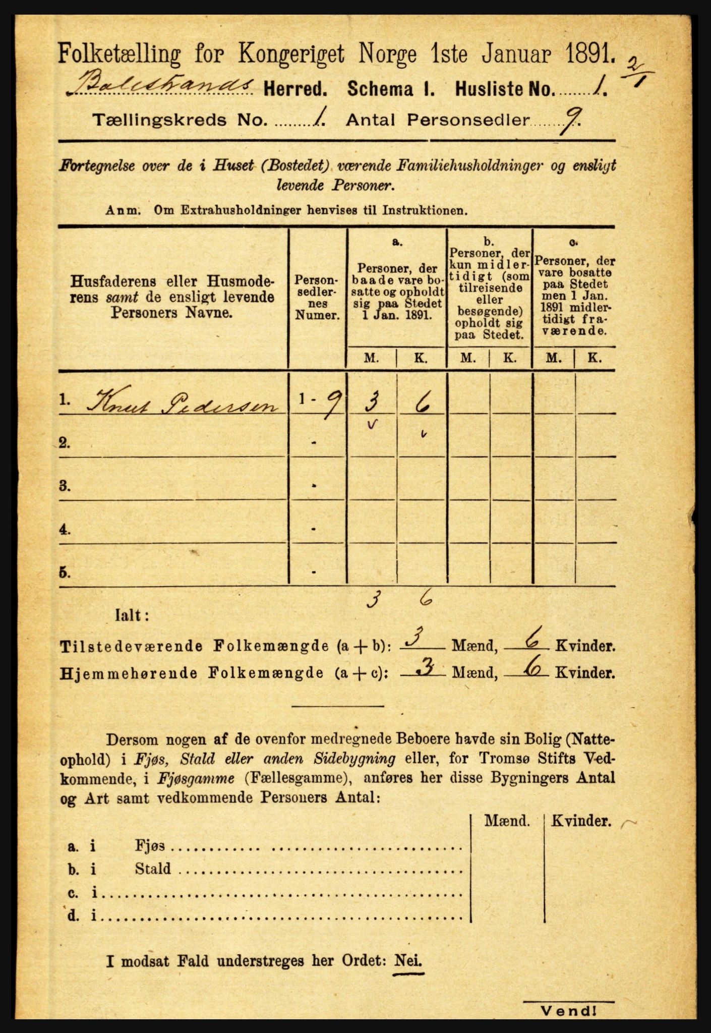 RA, 1891 census for 1418 Balestrand, 1891, p. 31