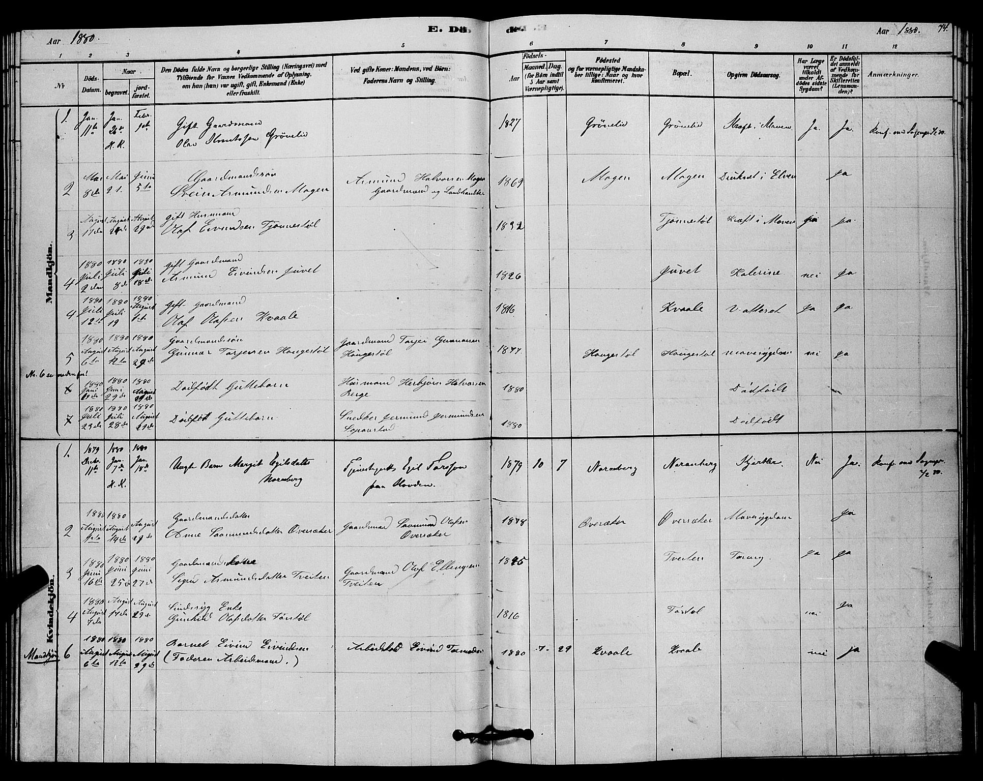 Lårdal kirkebøker, SAKO/A-284/G/Gc/L0003: Parish register (copy) no. III 3, 1878-1890, p. 74