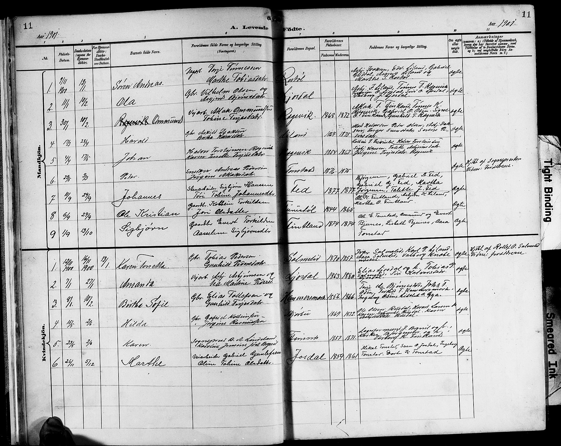 Sirdal sokneprestkontor, SAK/1111-0036/F/Fb/Fbb/L0004: Parish register (copy) no. B 4, 1895-1916, p. 11