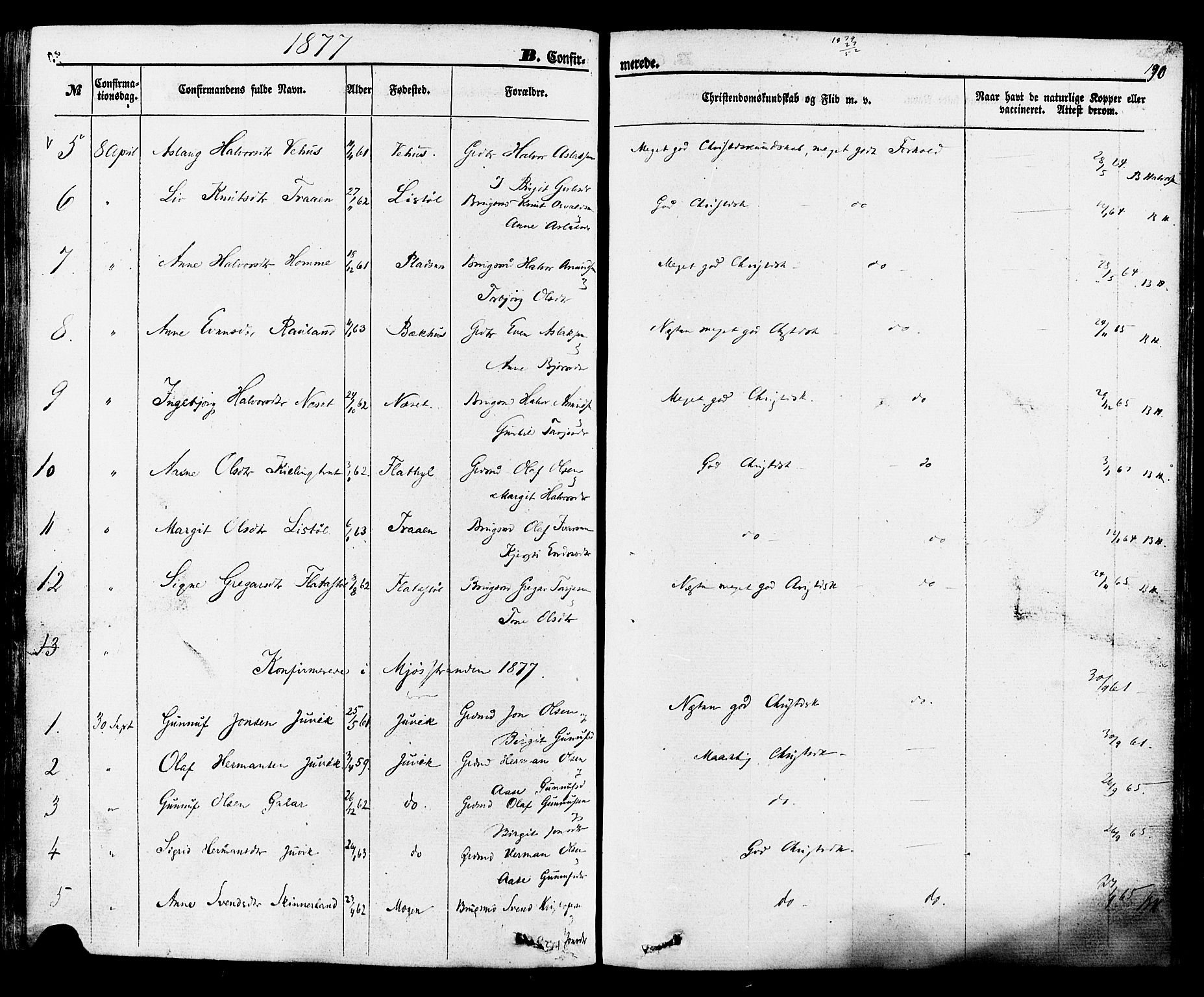 Rauland kirkebøker, SAKO/A-292/F/Fa/L0003: Parish register (official) no. 3, 1859-1886, p. 190