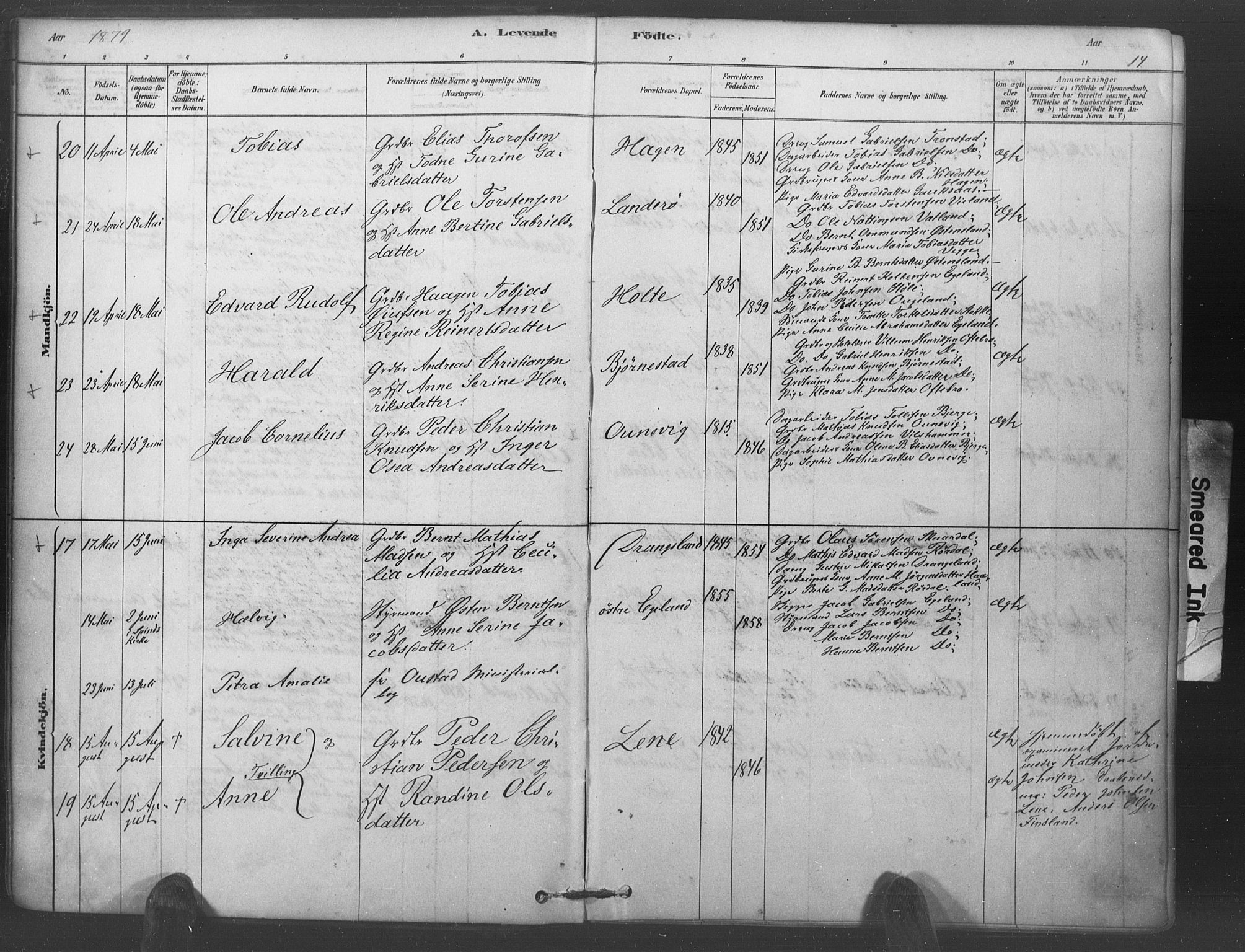 Lyngdal sokneprestkontor, AV/SAK-1111-0029/F/Fa/Fac/L0011: Parish register (official) no. A 11, 1878-1893, p. 14