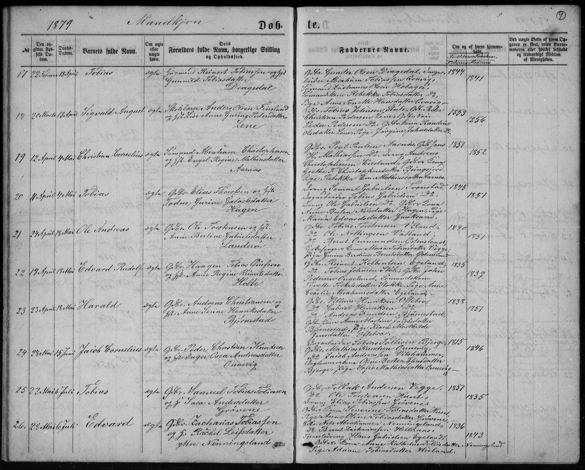 Lyngdal sokneprestkontor, AV/SAK-1111-0029/F/Fb/Fbc/L0004: Parish register (copy) no. B 4, 1878-1896, p. 9