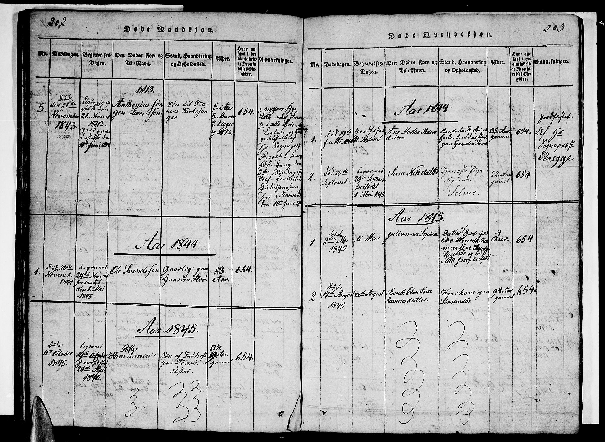 Ministerialprotokoller, klokkerbøker og fødselsregistre - Nordland, SAT/A-1459/840/L0581: Parish register (copy) no. 840C01, 1820-1873, p. 202-203