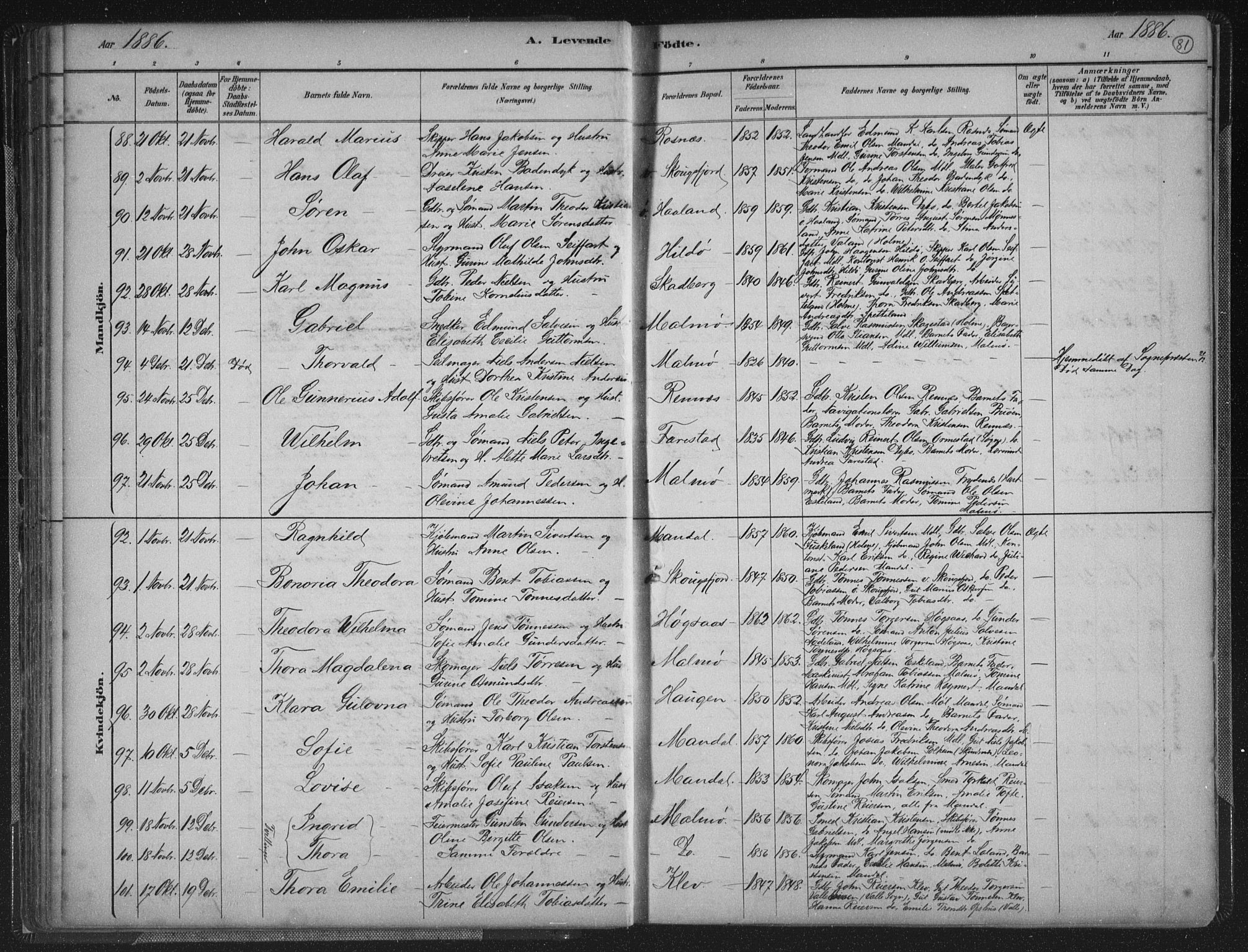 Mandal sokneprestkontor, AV/SAK-1111-0030/F/Fb/Fba/L0011: Parish register (copy) no. B 5, 1880-1898, p. 81