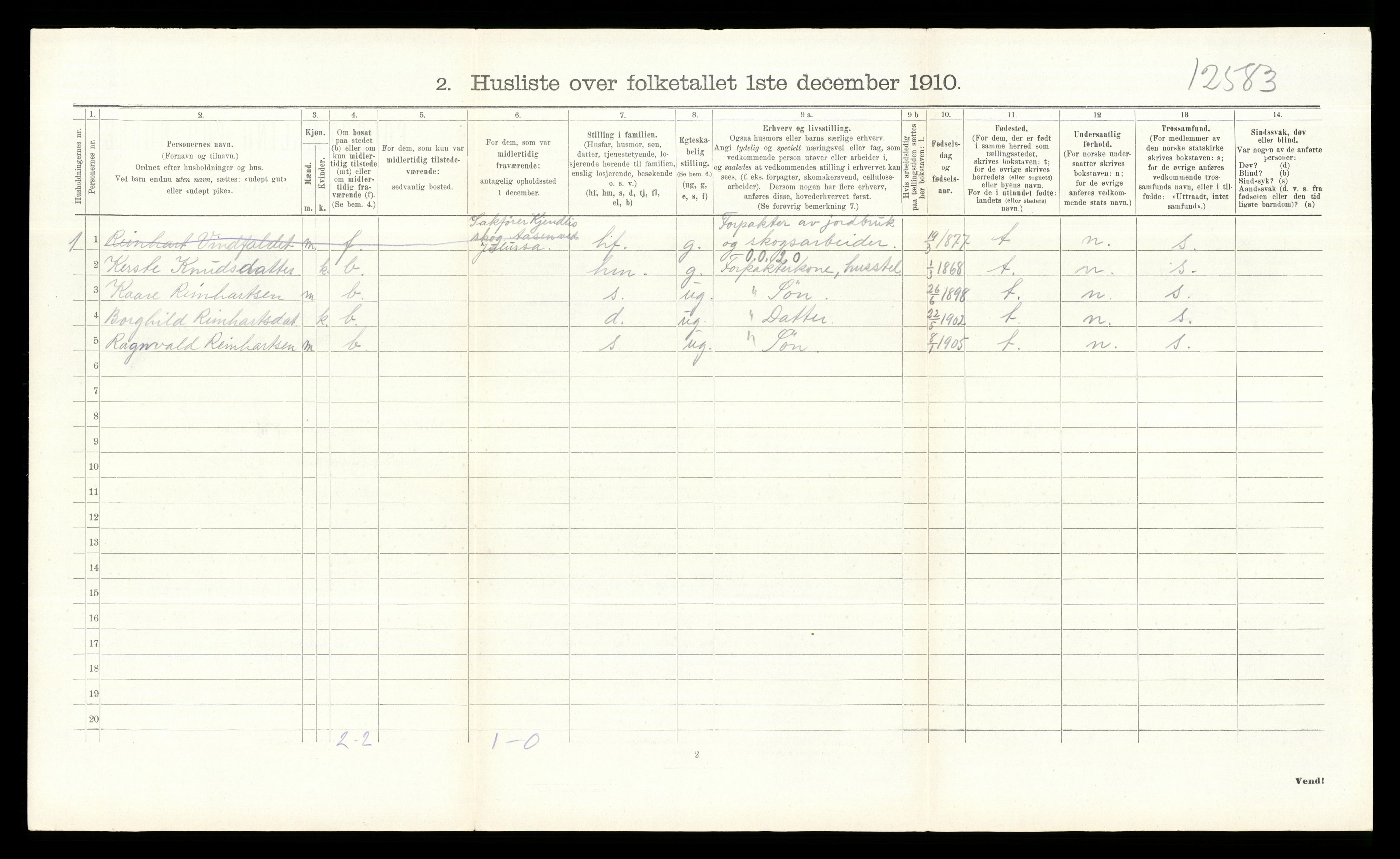 RA, 1910 census for Åmot, 1910, p. 1054