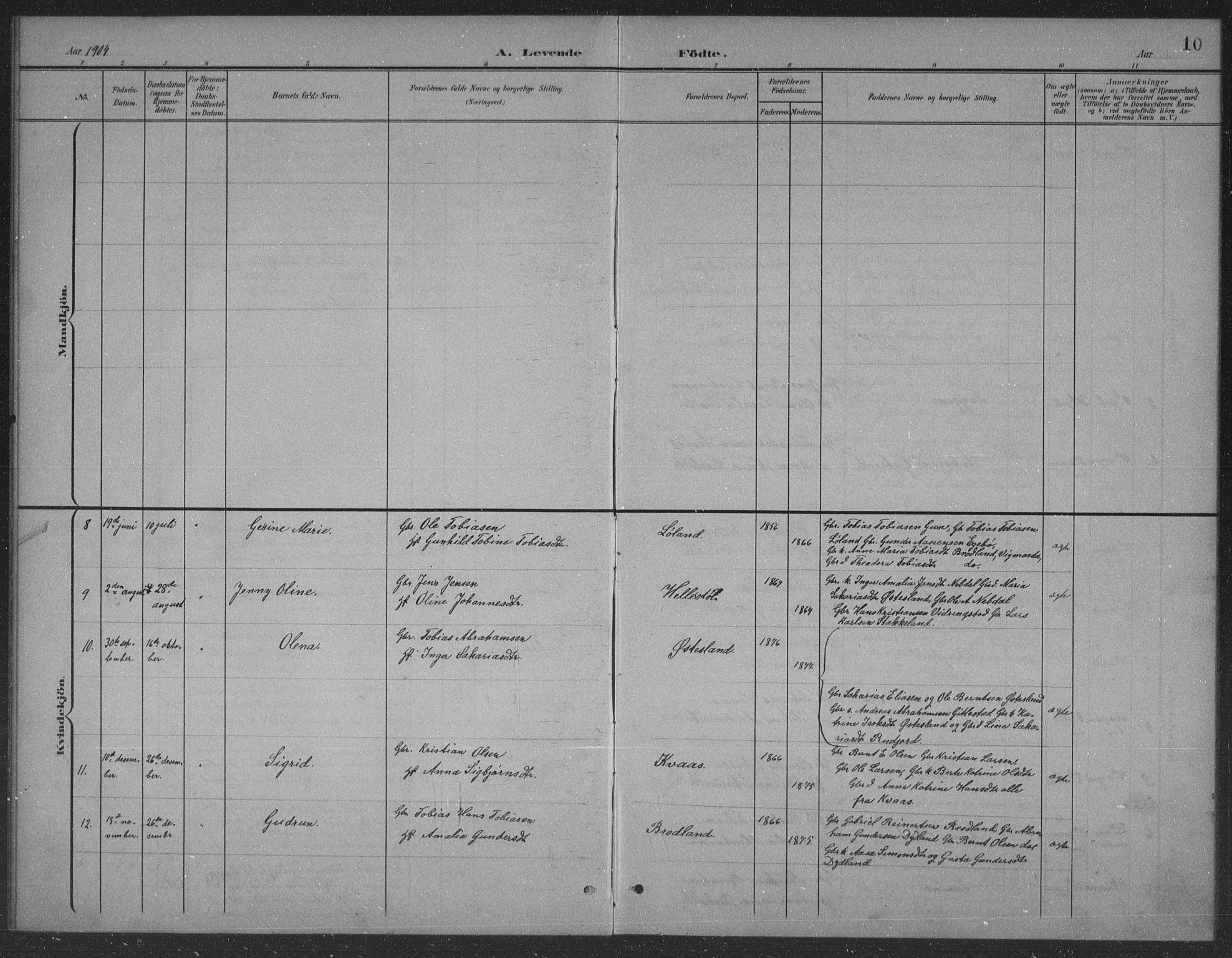 Lyngdal sokneprestkontor, AV/SAK-1111-0029/F/Fb/Fbb/L0002: Parish register (copy) no. B 2, 1901-1934, p. 10