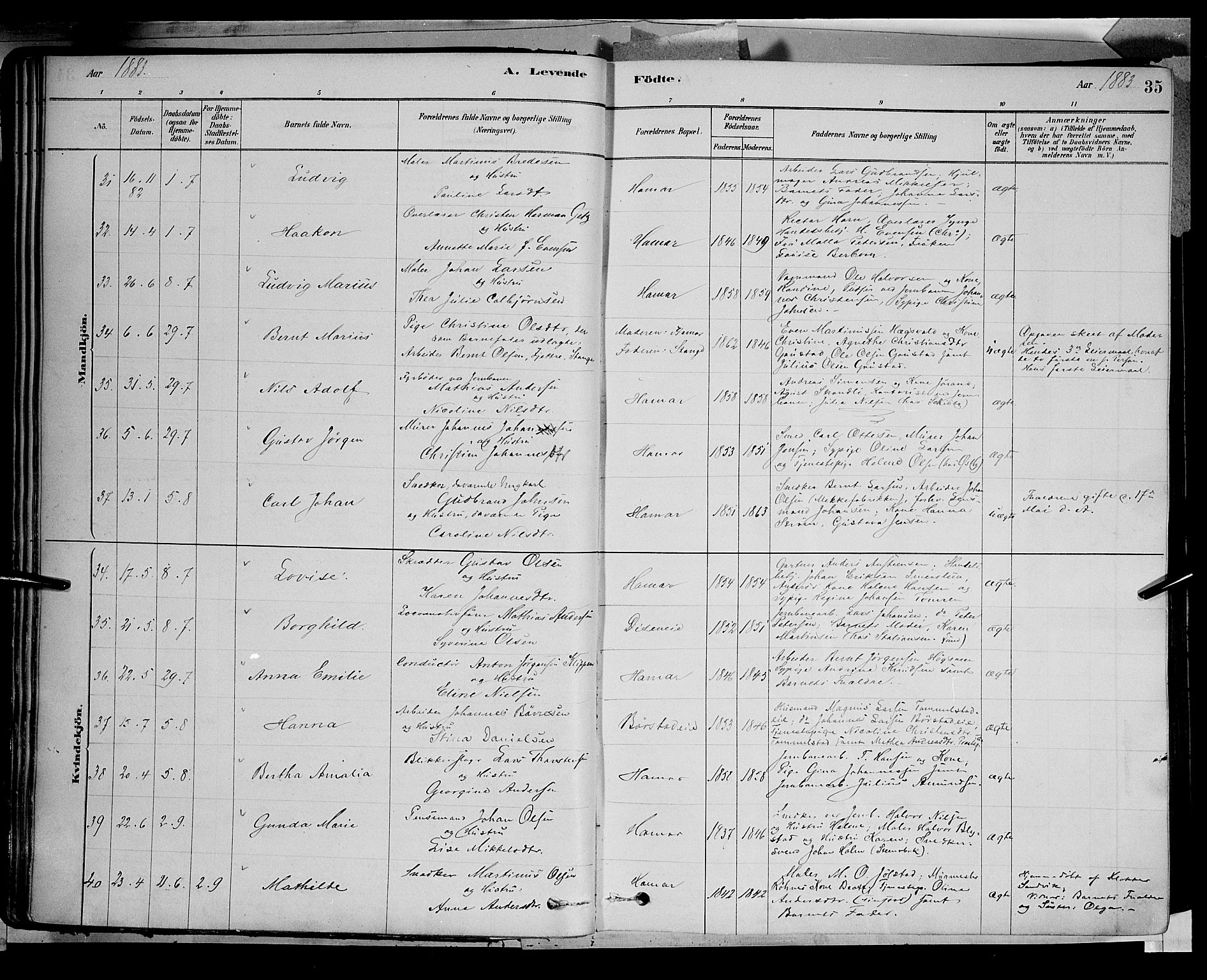 Vang prestekontor, Hedmark, AV/SAH-PREST-008/H/Ha/Haa/L0016: Parish register (official) no. 16, 1878-1889, p. 35