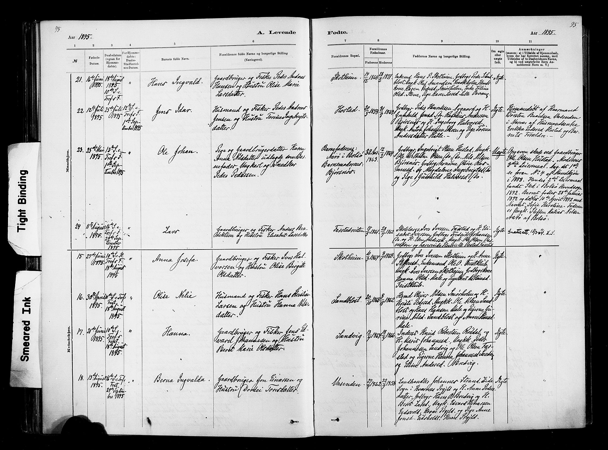 Ministerialprotokoller, klokkerbøker og fødselsregistre - Møre og Romsdal, AV/SAT-A-1454/567/L0778: Parish register (official) no. 567A01, 1881-1903, p. 95