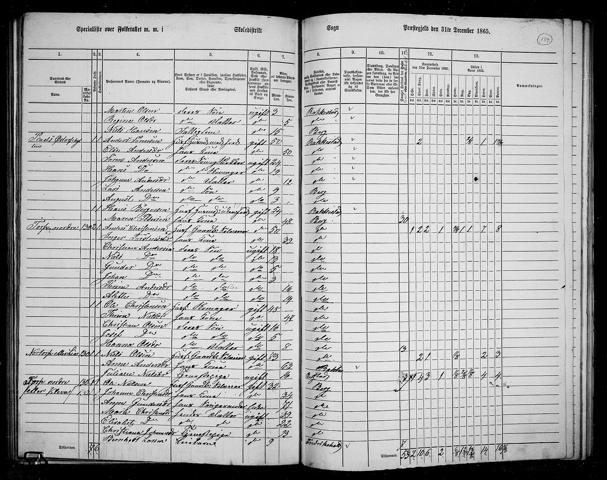 RA, 1865 census for Berg, 1865, p. 120