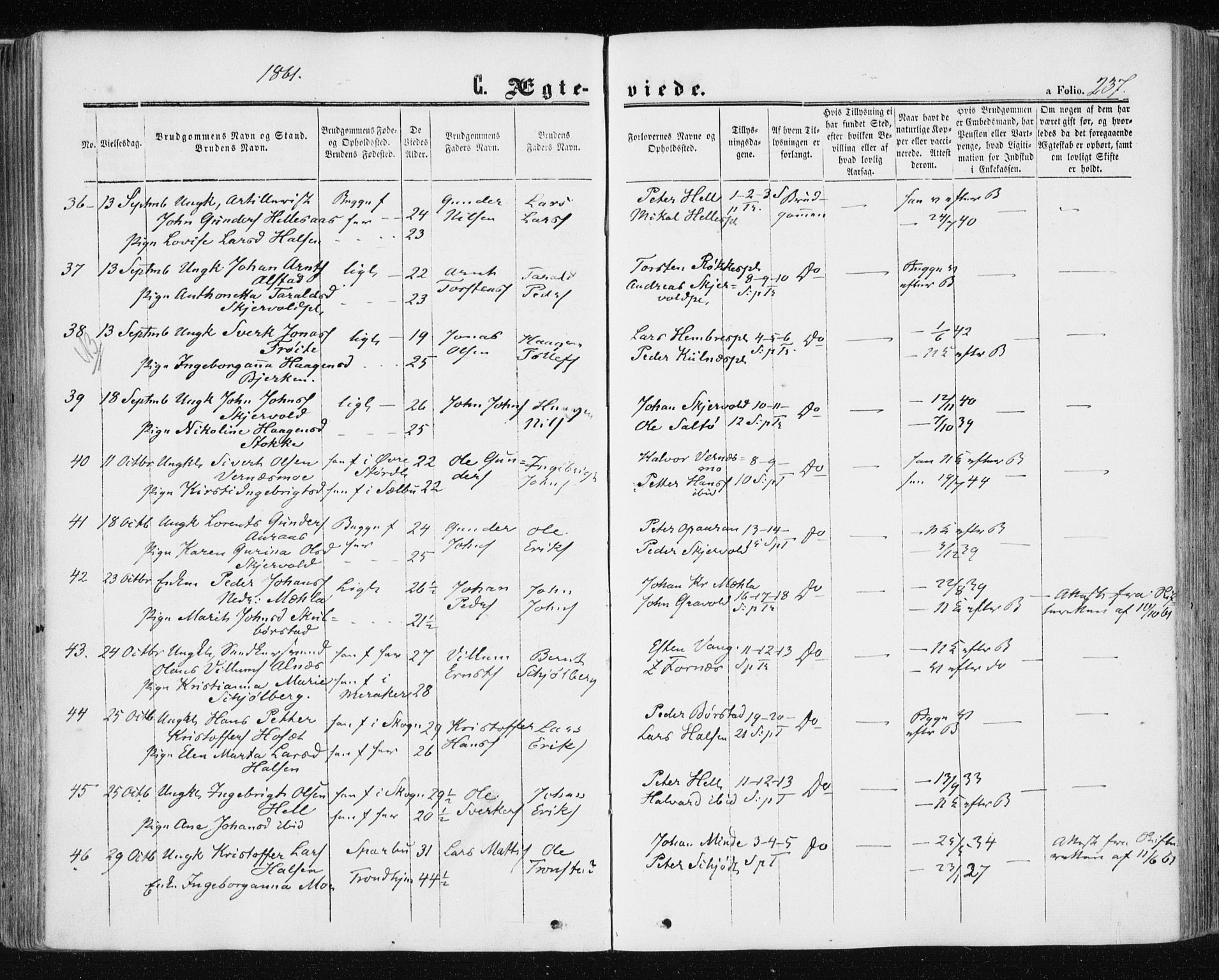 Ministerialprotokoller, klokkerbøker og fødselsregistre - Nord-Trøndelag, AV/SAT-A-1458/709/L0075: Parish register (official) no. 709A15, 1859-1870, p. 237