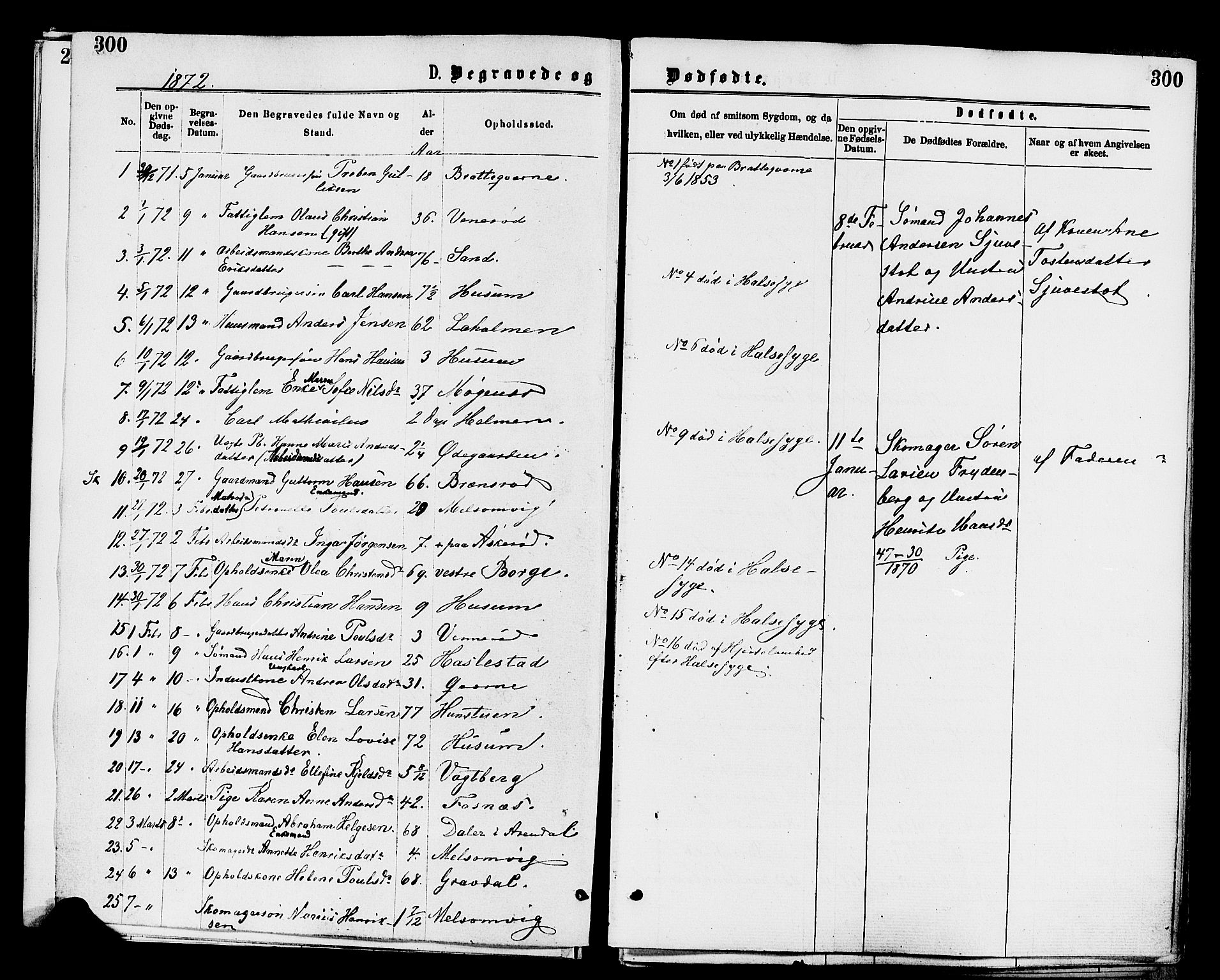 Stokke kirkebøker, SAKO/A-320/F/Fa/L0009: Parish register (official) no. I 9, 1872-1883, p. 300