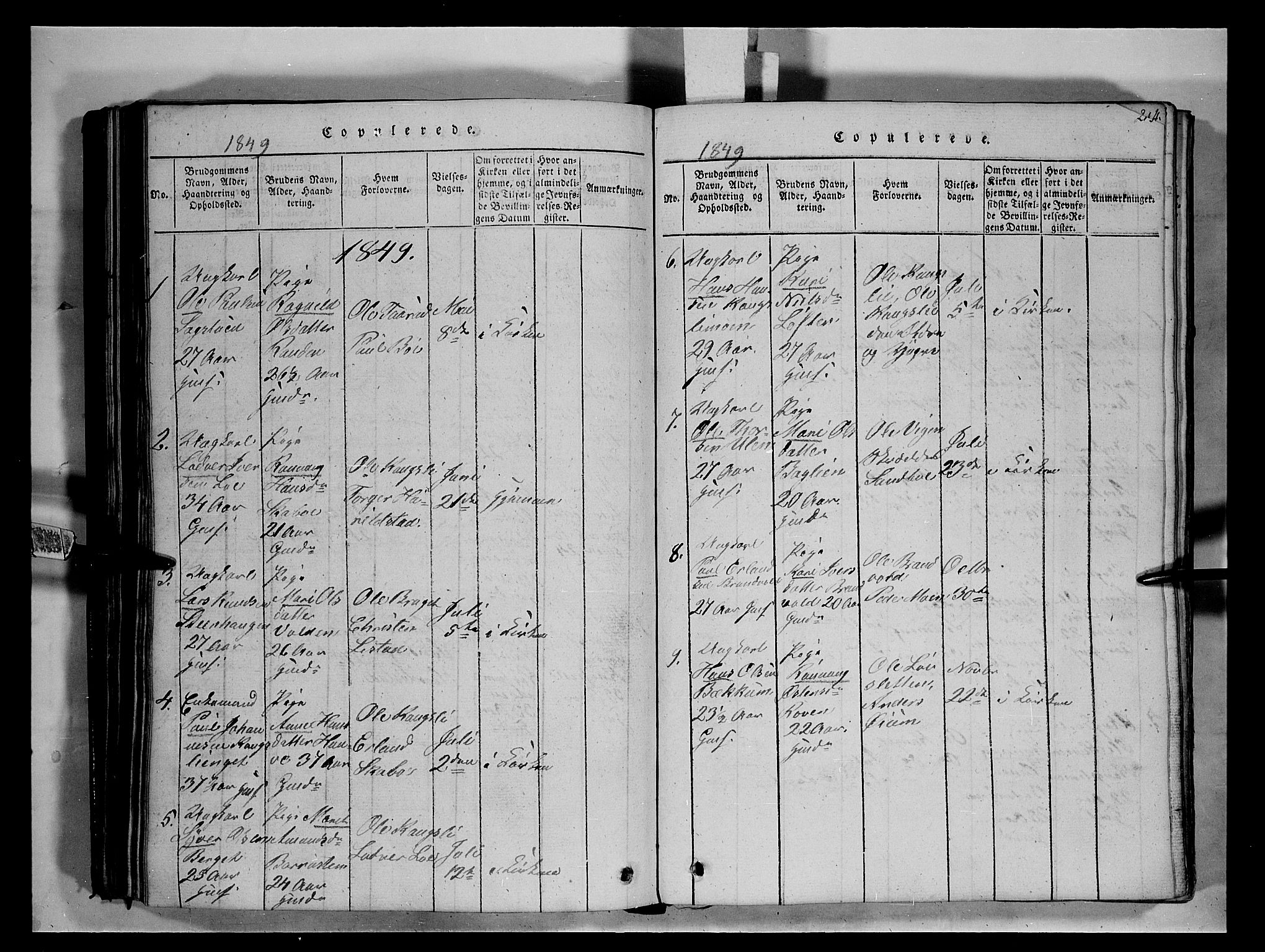 Fron prestekontor, SAH/PREST-078/H/Ha/Hab/L0004: Parish register (copy) no. 4, 1816-1850, p. 213