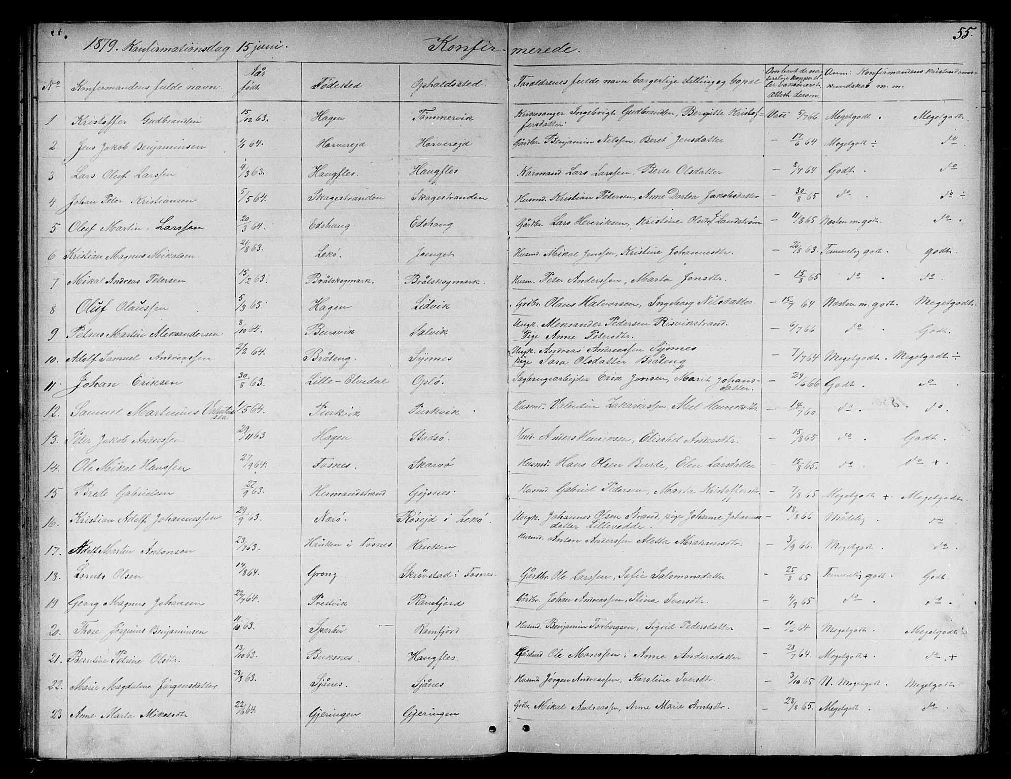 Ministerialprotokoller, klokkerbøker og fødselsregistre - Nord-Trøndelag, SAT/A-1458/780/L0650: Parish register (copy) no. 780C02, 1866-1884, p. 55