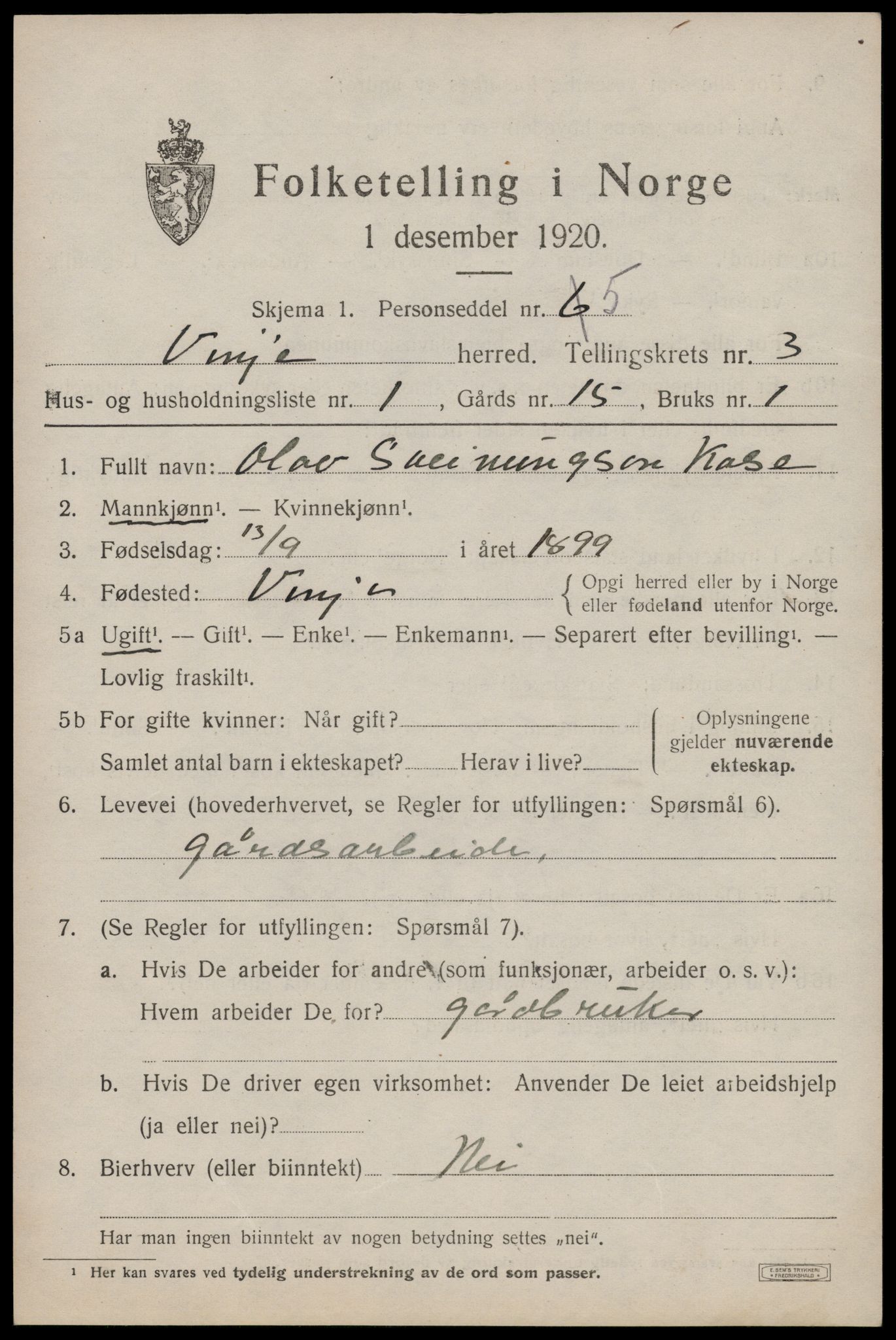 SAKO, 1920 census for Vinje, 1920, p. 1053