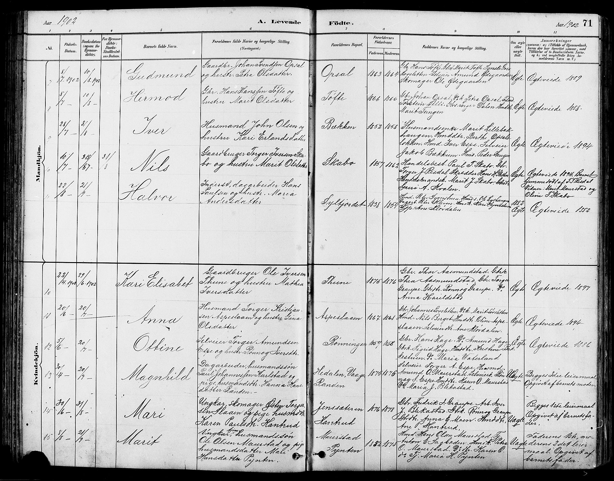 Nord-Fron prestekontor, SAH/PREST-080/H/Ha/Hab/L0005: Parish register (copy) no. 5, 1884-1914, p. 71