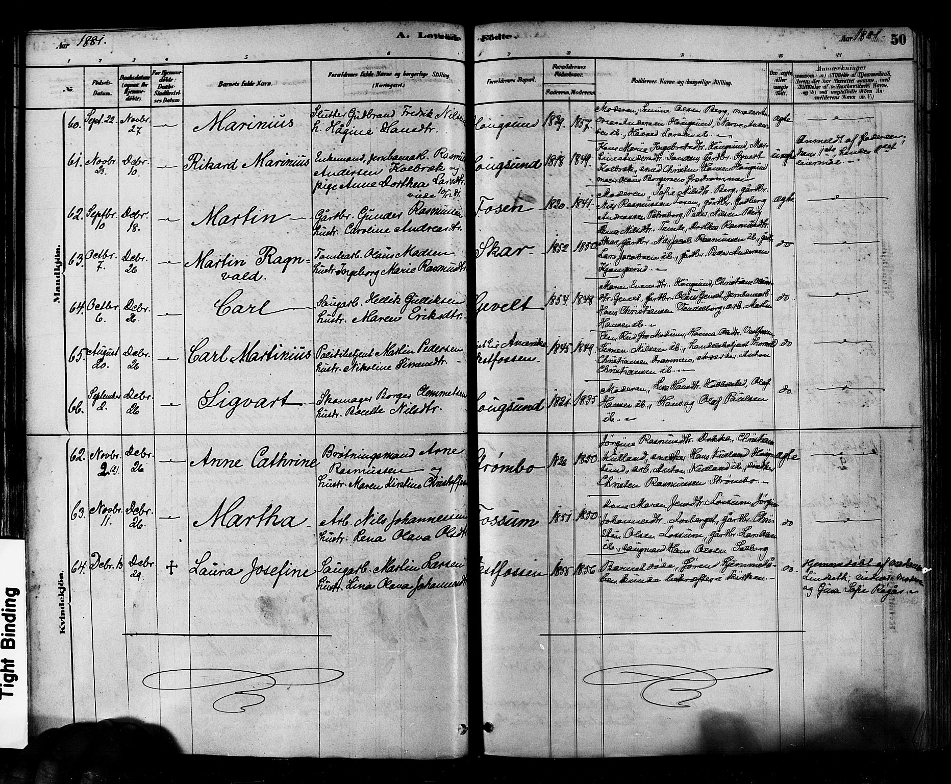 Eiker kirkebøker, AV/SAKO-A-4/F/Fb/L0001: Parish register (official) no. II 1, 1878-1888, p. 50