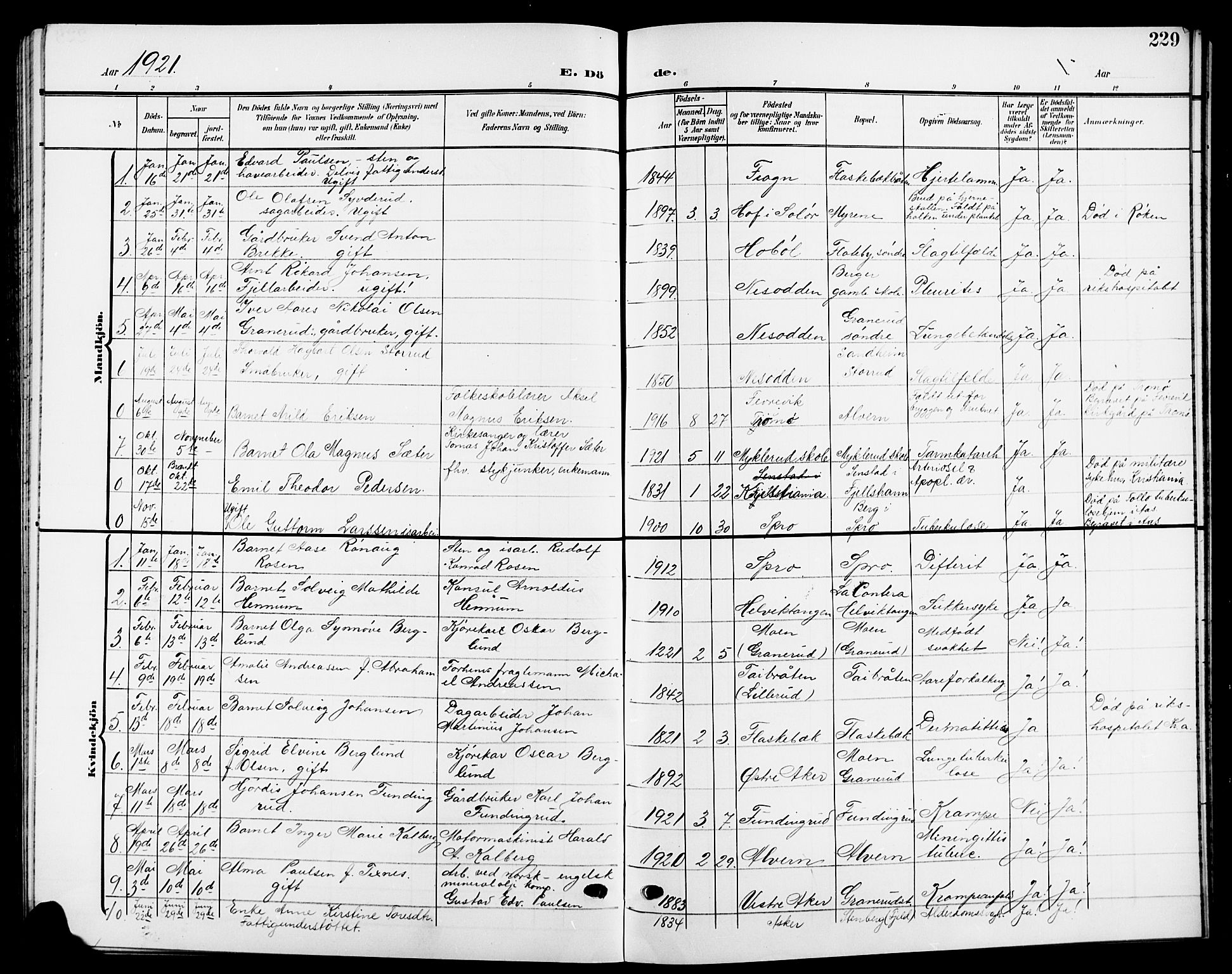 Nesodden prestekontor Kirkebøker, SAO/A-10013/G/Ga/L0002: Parish register (copy) no. I 2, 1905-1924, p. 229