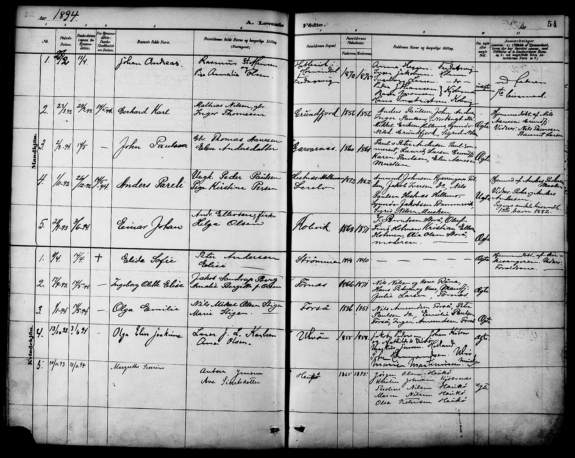 Ministerialprotokoller, klokkerbøker og fødselsregistre - Nordland, AV/SAT-A-1459/861/L0869: Parish register (official) no. 861A04, 1889-1903, p. 54