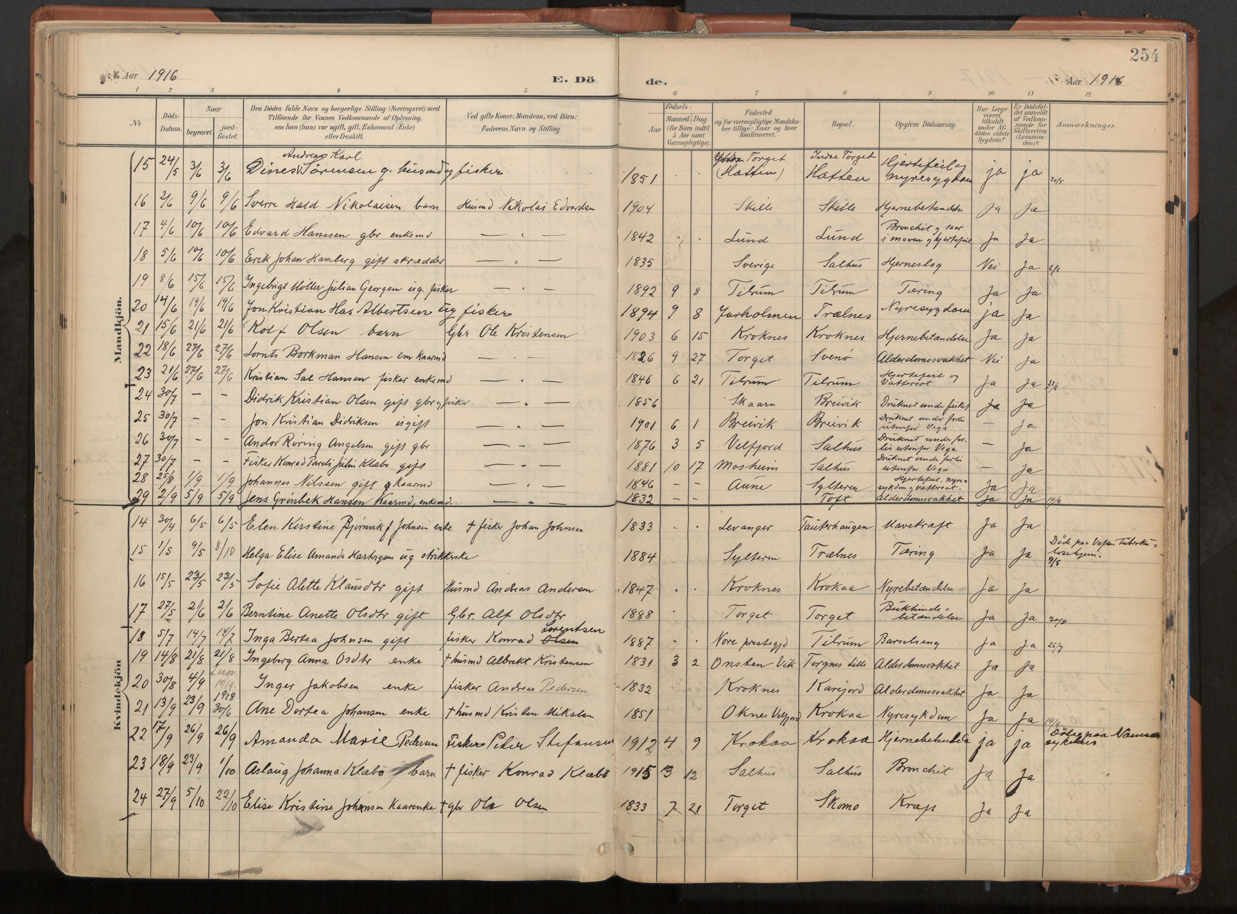 Ministerialprotokoller, klokkerbøker og fødselsregistre - Nordland, SAT/A-1459/813/L0201: Parish register (official) no. 813A11, 1901-1918, p. 254