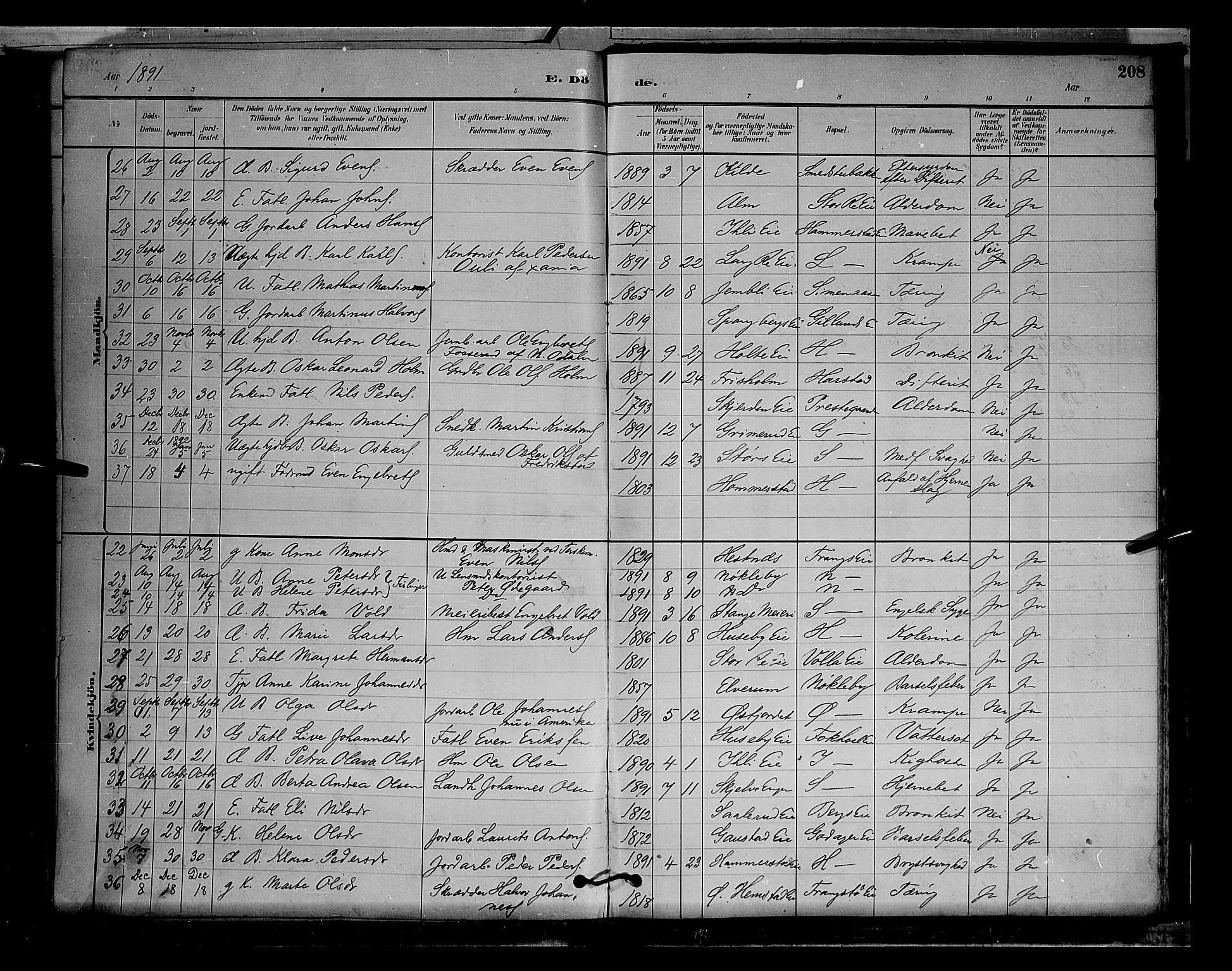 Stange prestekontor, SAH/PREST-002/L/L0009: Parish register (copy) no. 9, 1883-1899, p. 208