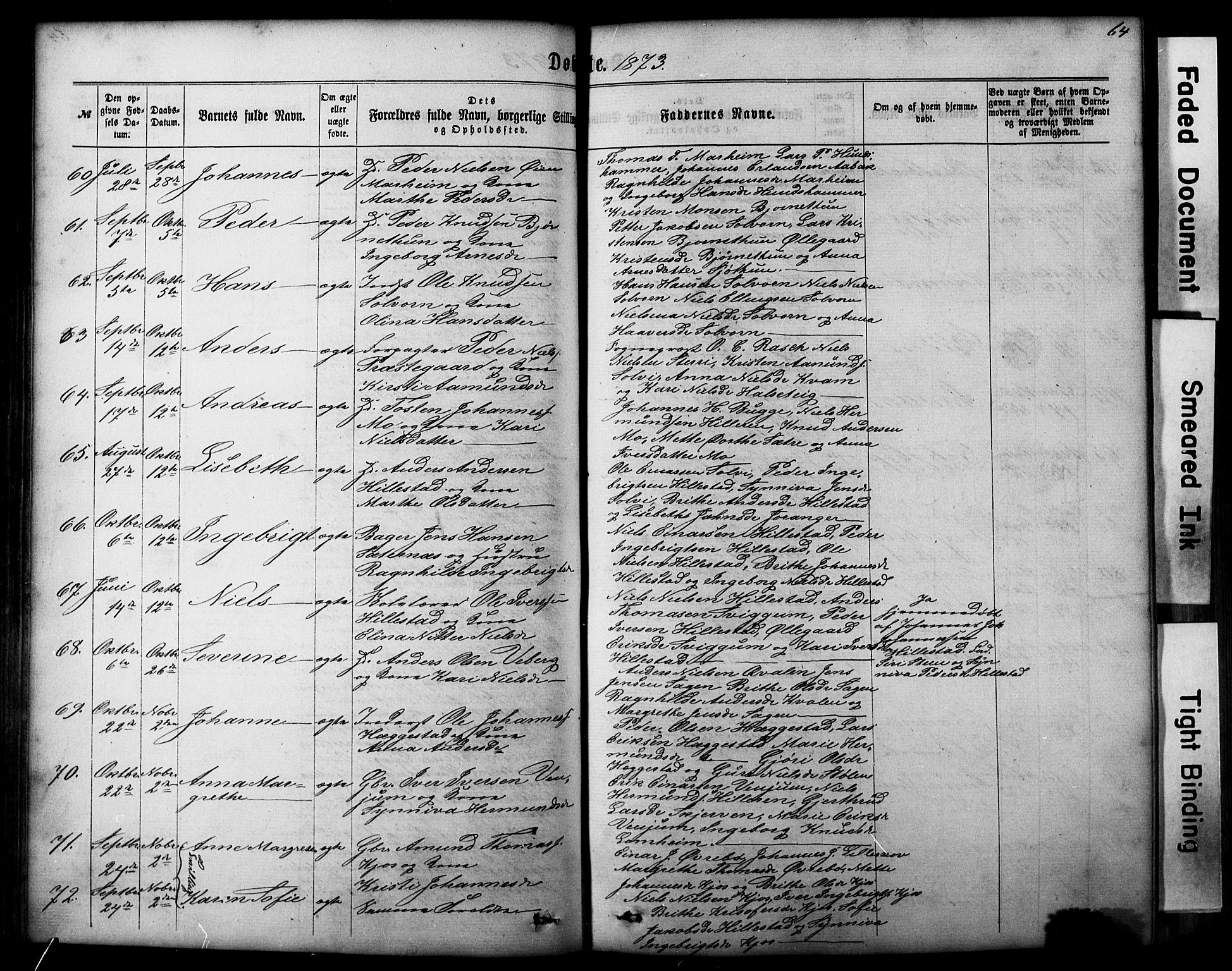 Hafslo sokneprestembete, AV/SAB-A-80301/H/Hab/Haba/L0001: Parish register (copy) no. A 1, 1866-1908, p. 64