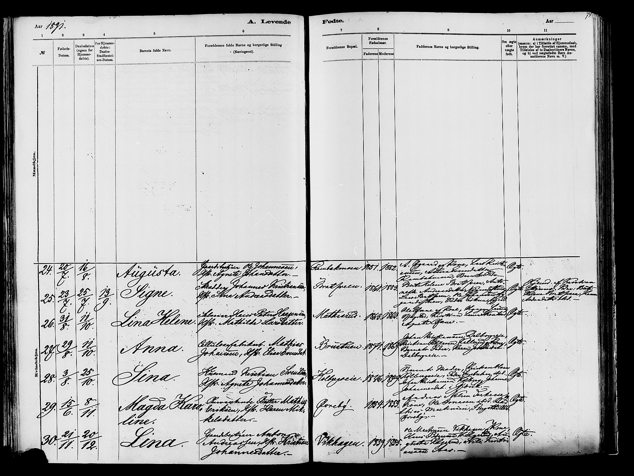 Vardal prestekontor, AV/SAH-PREST-100/H/Ha/Haa/L0009: Parish register (official) no. 9, 1878-1892, p. 74