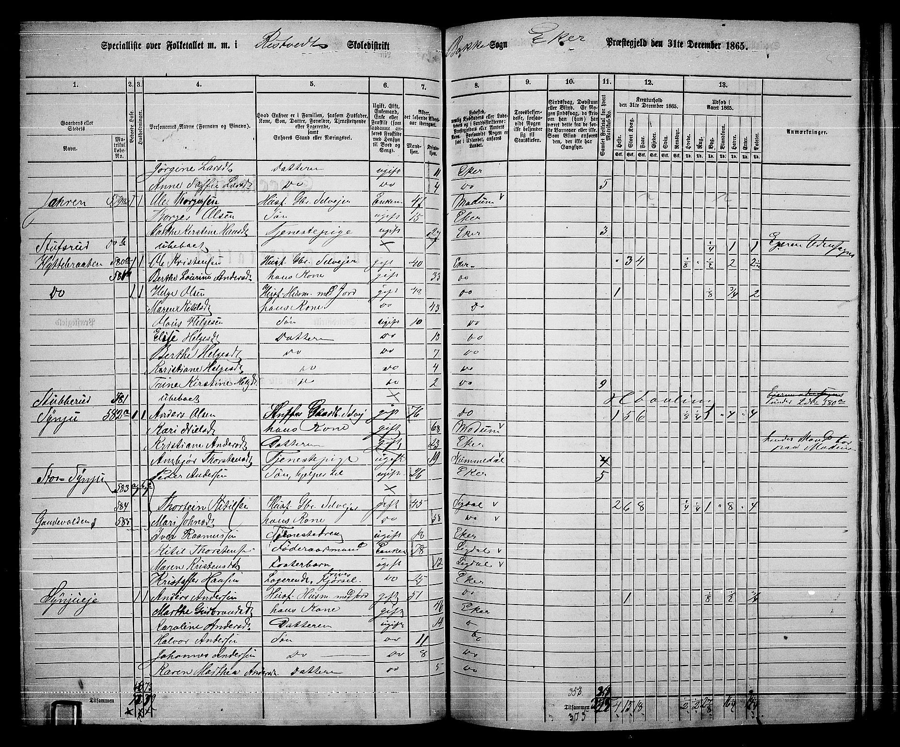 RA, 1865 census for Eiker, 1865, p. 428