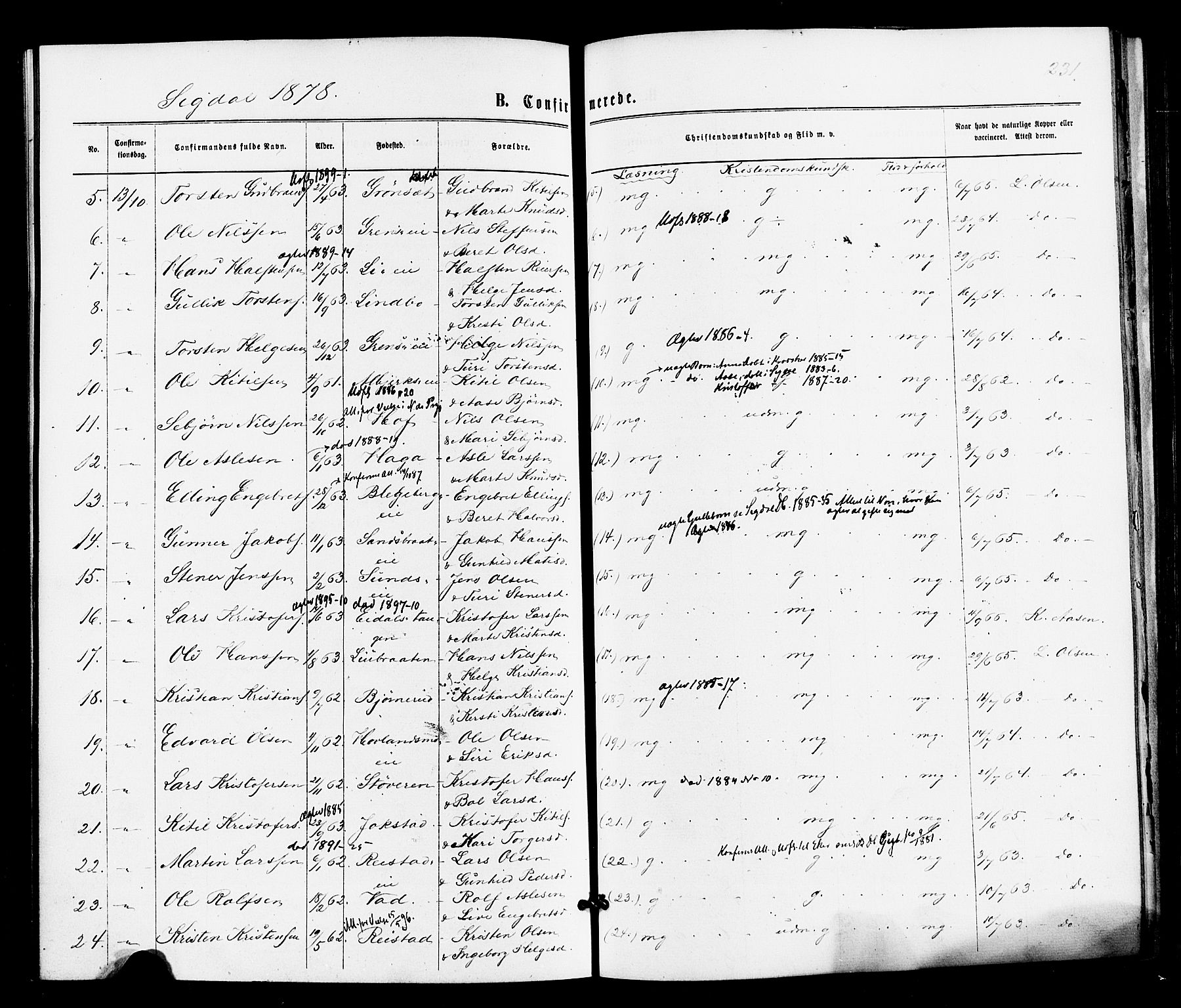 Sigdal kirkebøker, SAKO/A-245/F/Fa/L0010: Parish register (official) no. I 10 /1, 1872-1878, p. 231