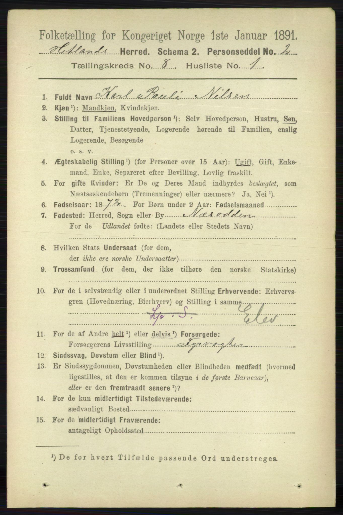 RA, 1891 census for 1126 Hetland, 1891, p. 4447