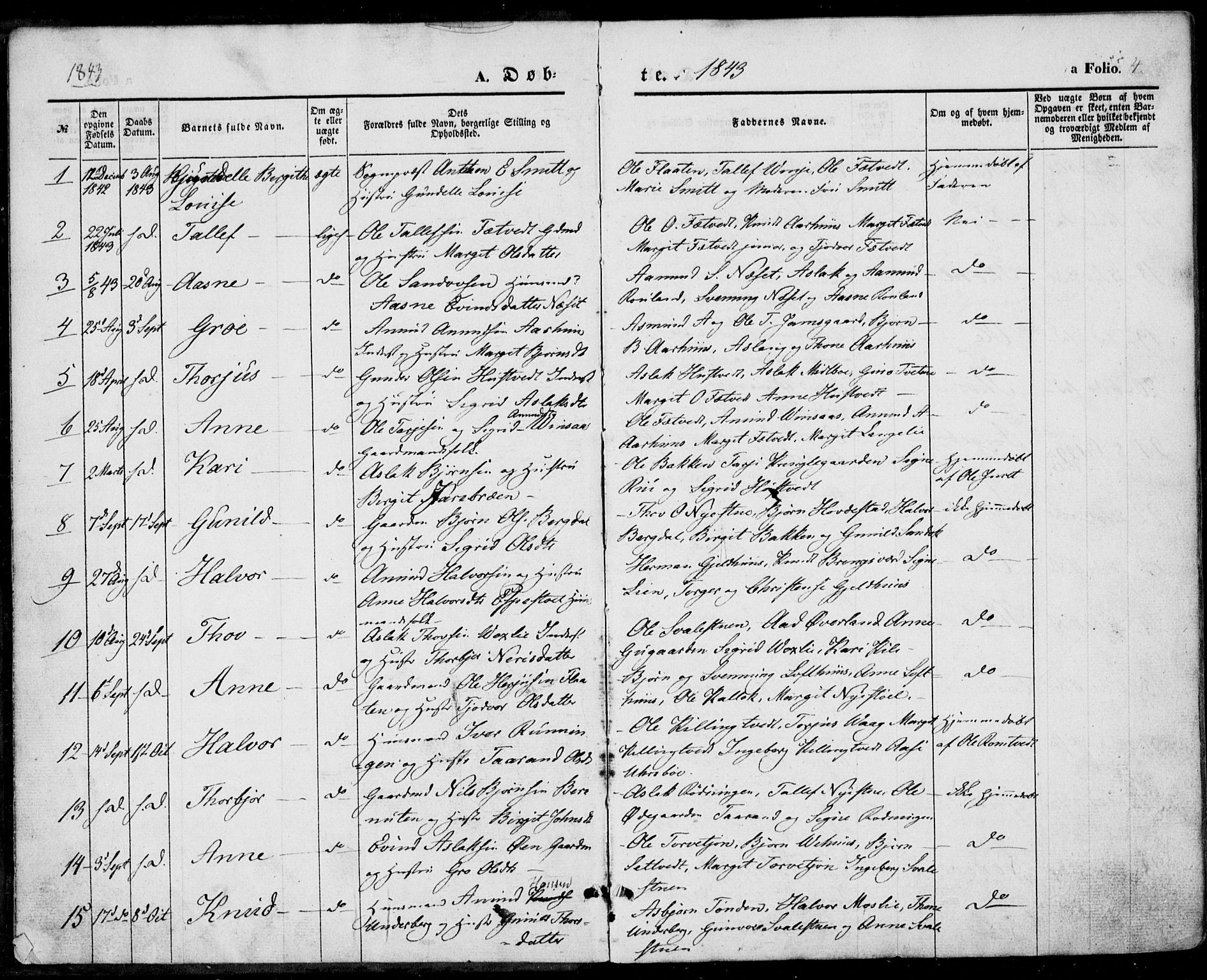 Vinje kirkebøker, AV/SAKO-A-312/F/Fa/L0004: Parish register (official) no. I 4, 1843-1869, p. 4