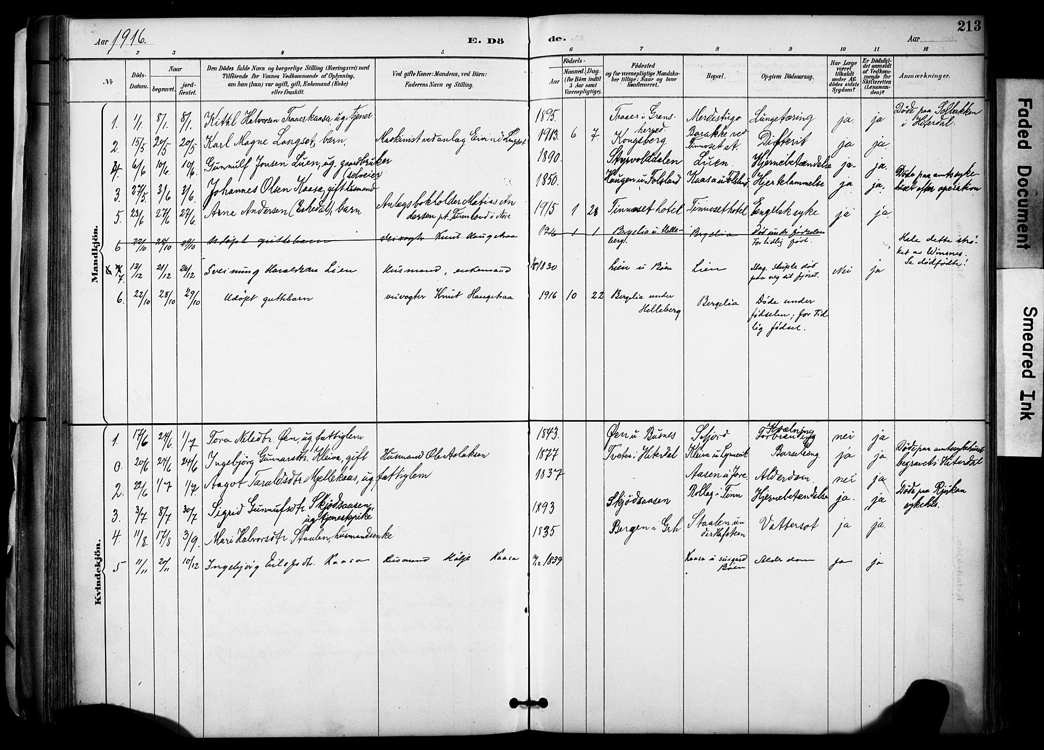 Gransherad kirkebøker, SAKO/A-267/F/Fa/L0005: Parish register (official) no. I 5, 1887-1916, p. 213
