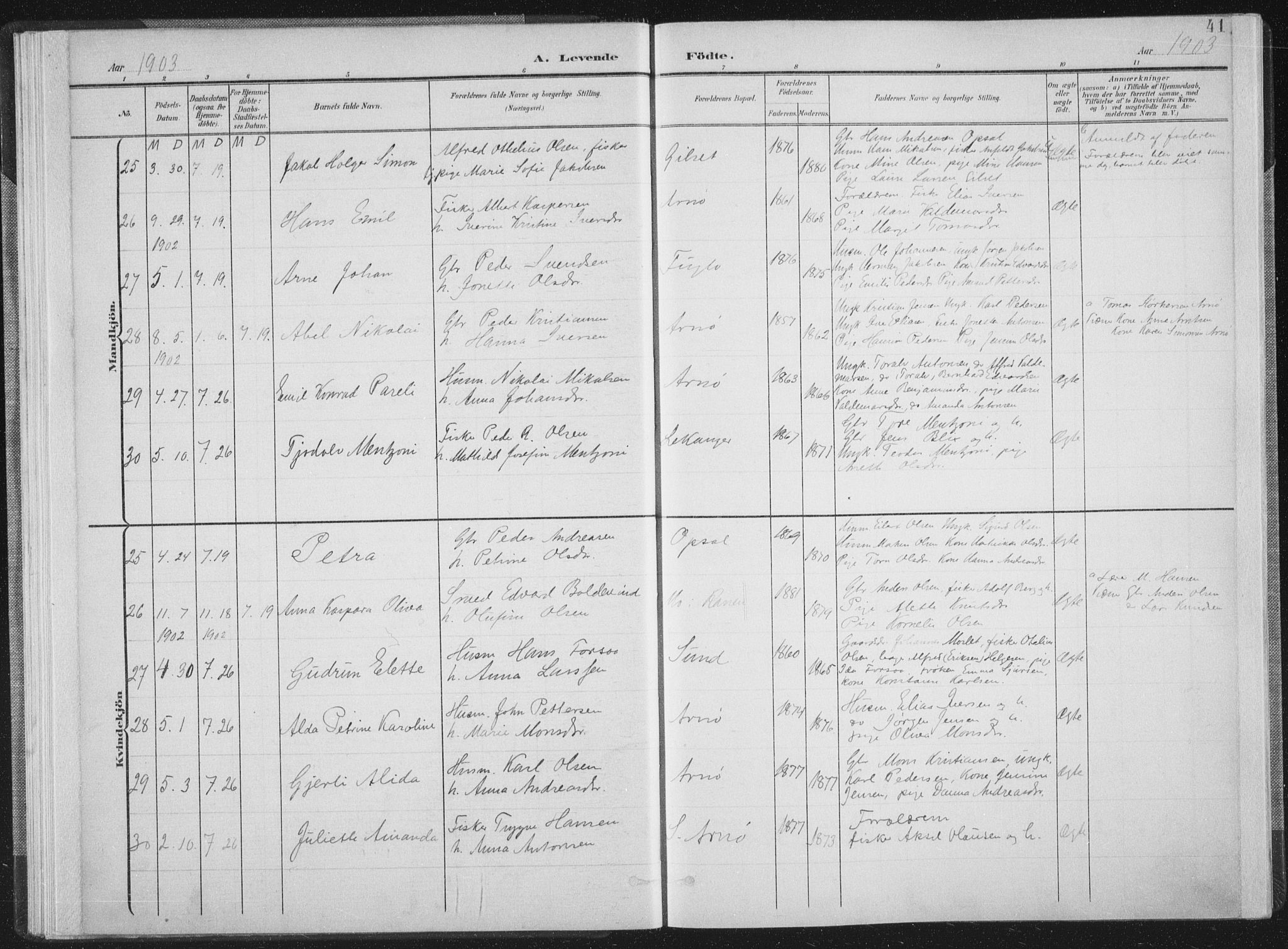 Ministerialprotokoller, klokkerbøker og fødselsregistre - Nordland, AV/SAT-A-1459/805/L0102: Parish register (official) no. 805A08I, 1900-1909, p. 41