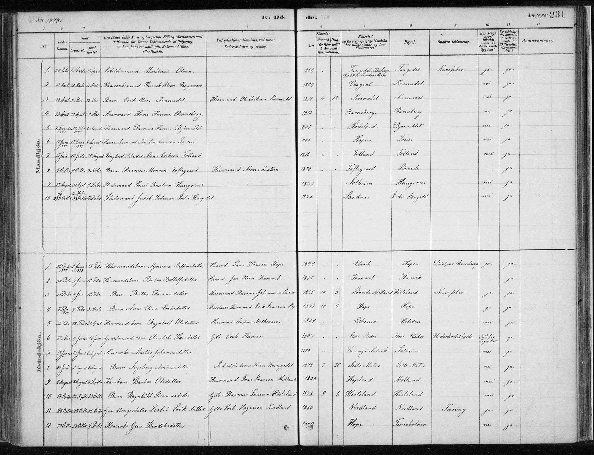 Masfjorden Sokneprestembete, SAB/A-77001: Parish register (official) no. B  1, 1876-1899, p. 231