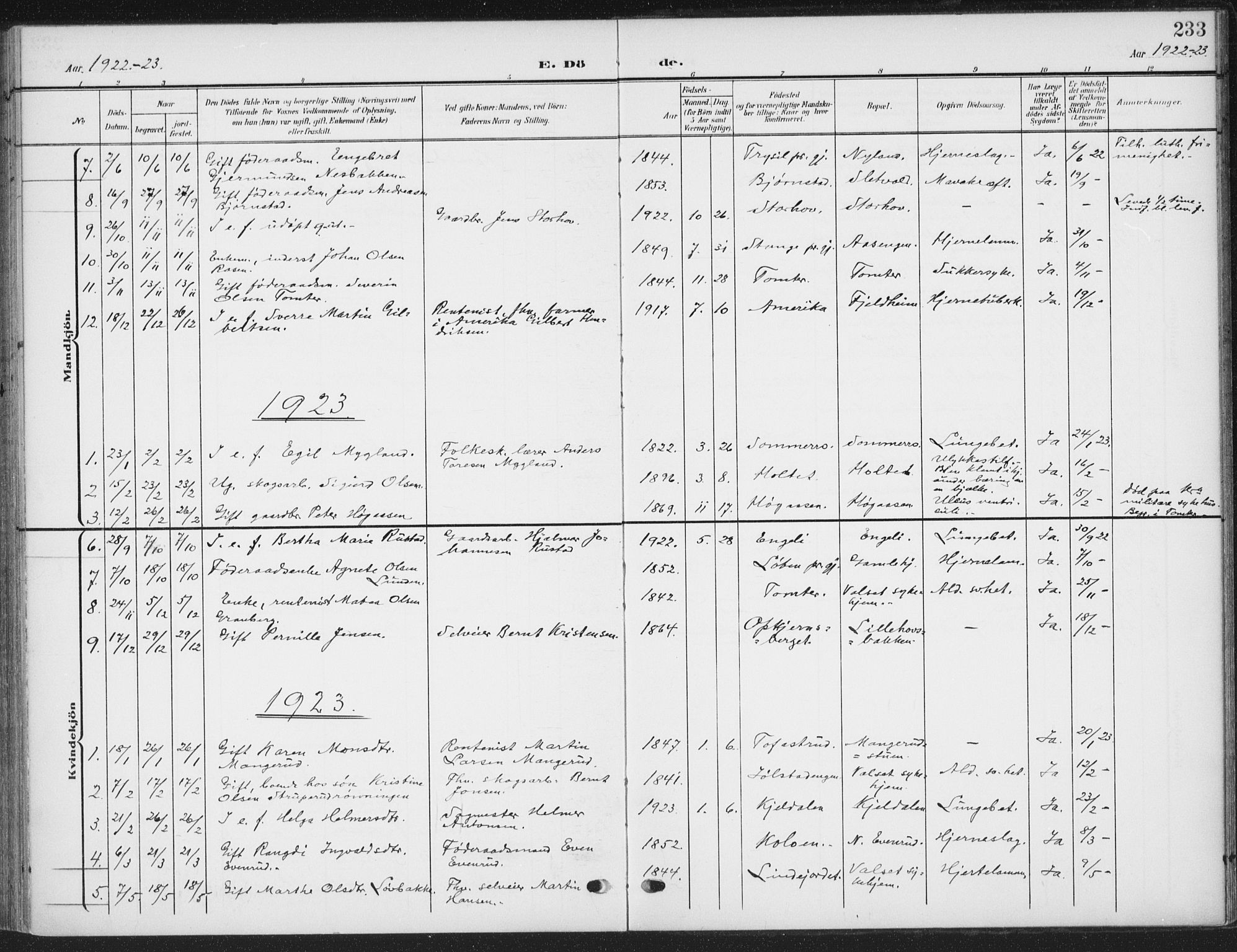 Romedal prestekontor, AV/SAH-PREST-004/K/L0009: Parish register (official) no. 9, 1906-1929, p. 233