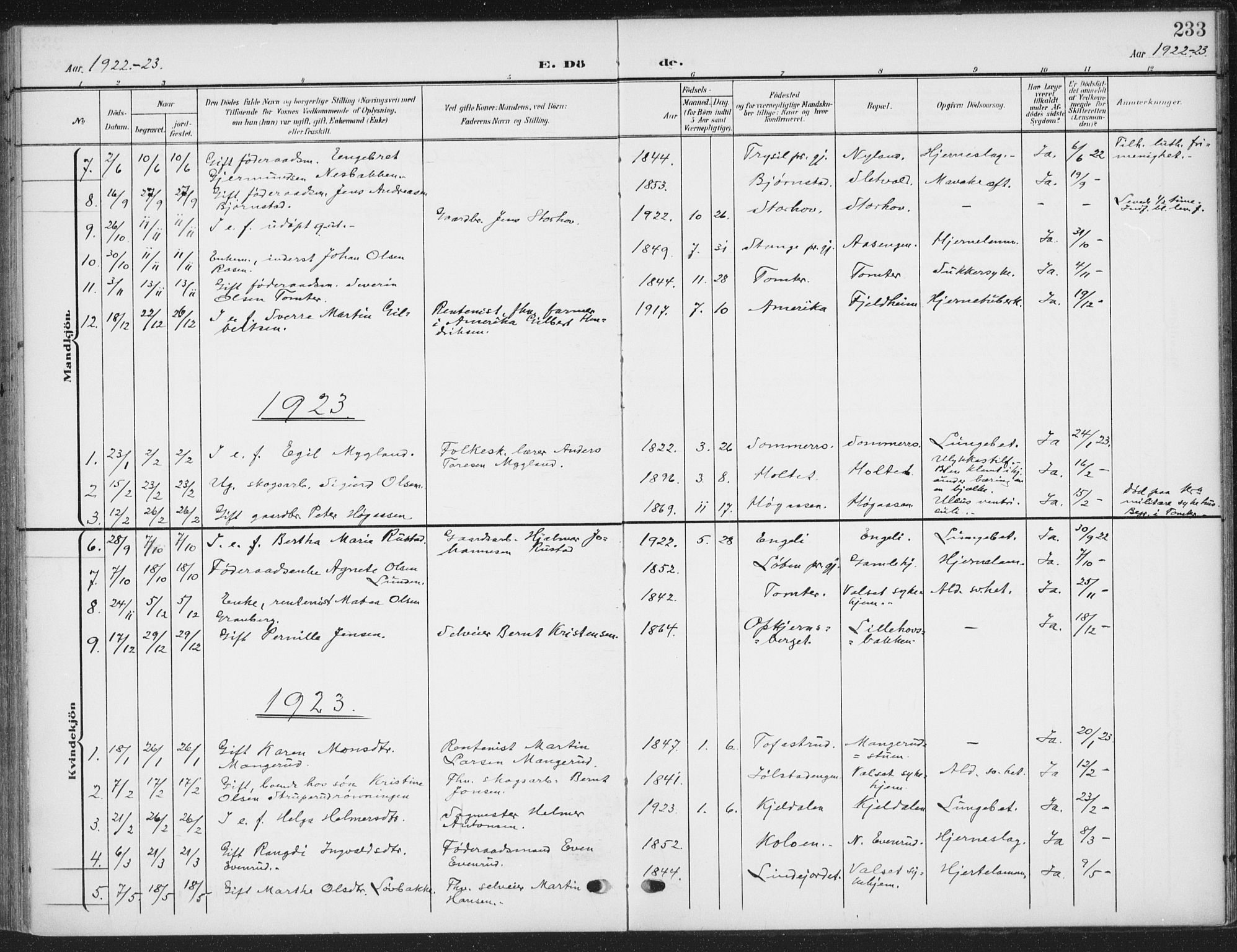 Romedal prestekontor, AV/SAH-PREST-004/K/L0009: Parish register (official) no. 9, 1906-1929, p. 233