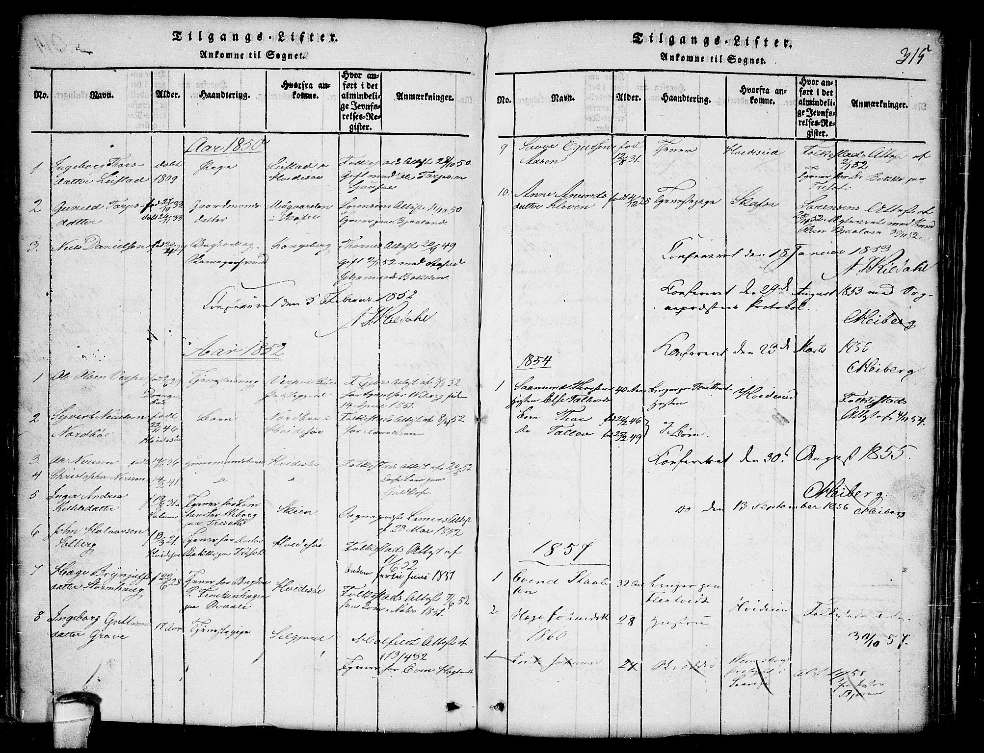 Lårdal kirkebøker, SAKO/A-284/G/Ga/L0001: Parish register (copy) no. I 1, 1815-1861, p. 315