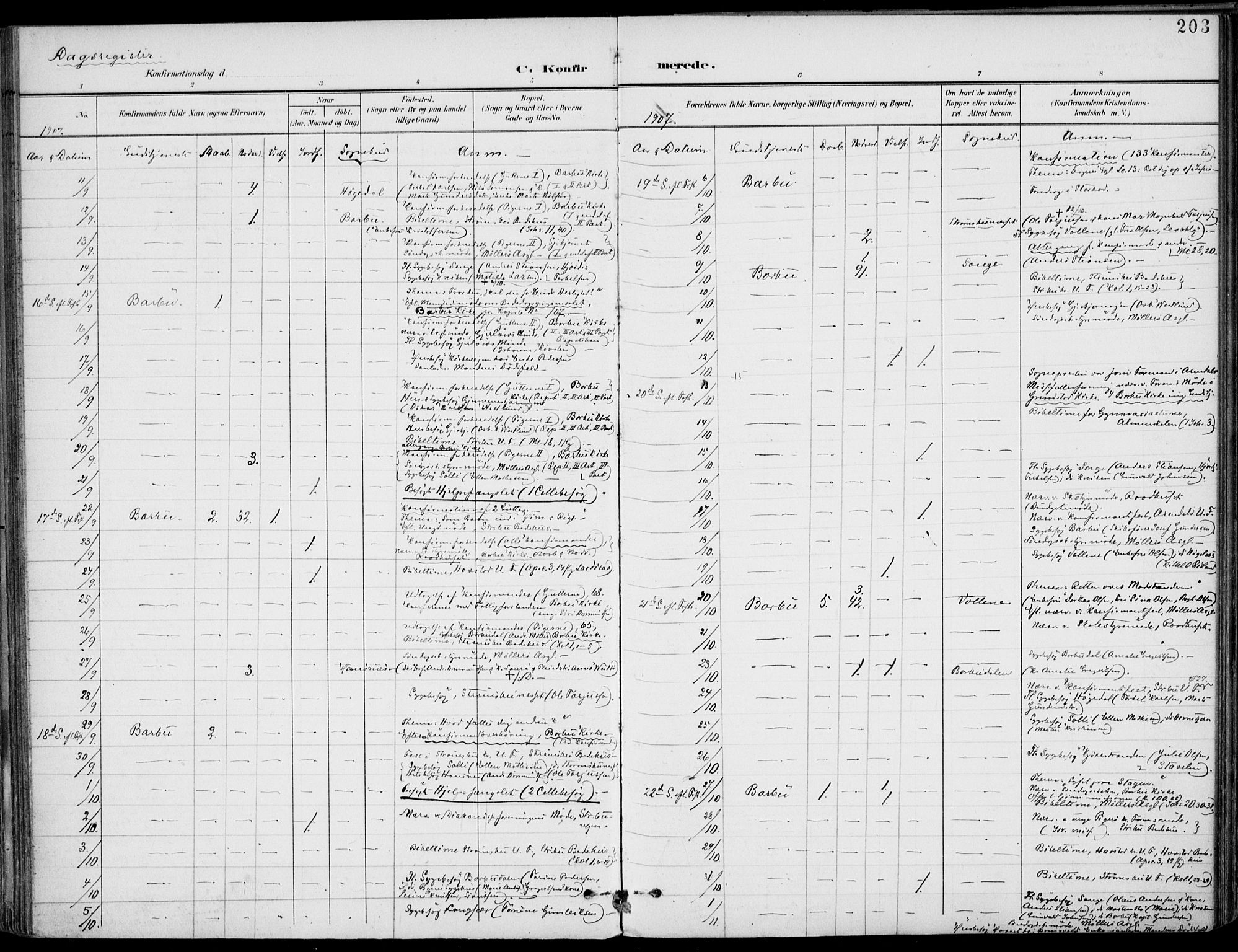 Barbu sokneprestkontor, AV/SAK-1111-0003/F/Fa/L0005: Parish register (official) no. A 5, 1899-1909, p. 203