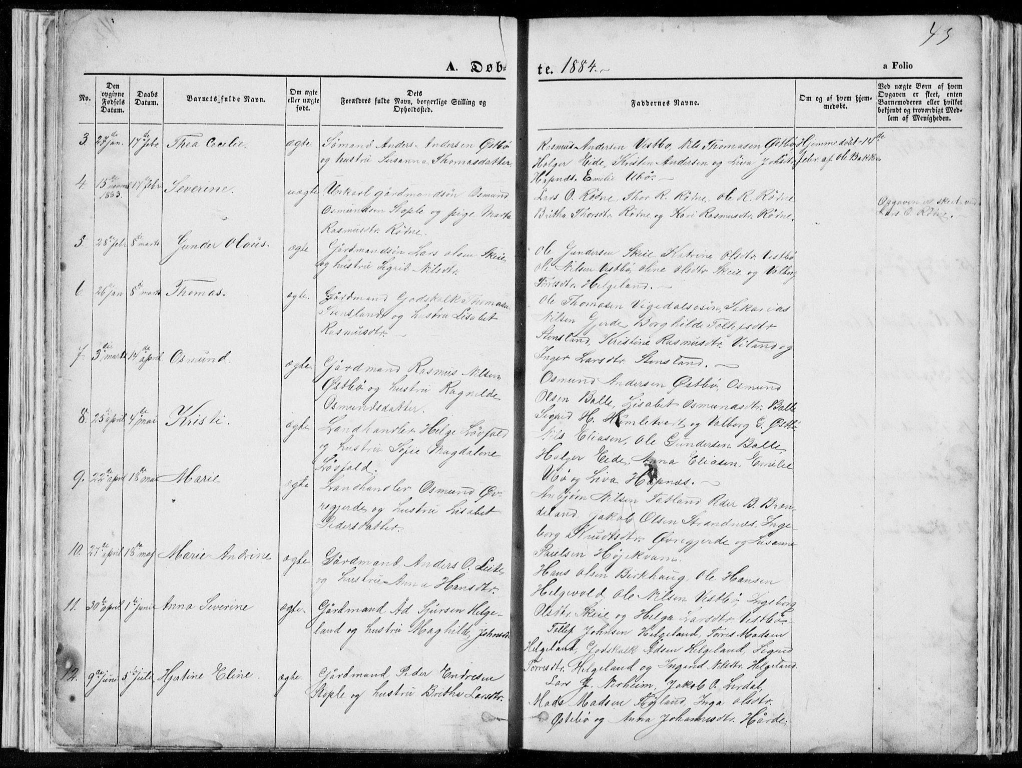 Vikedal sokneprestkontor, SAST/A-101840/01/V: Parish register (copy) no. B 10, 1864-1926, p. 43