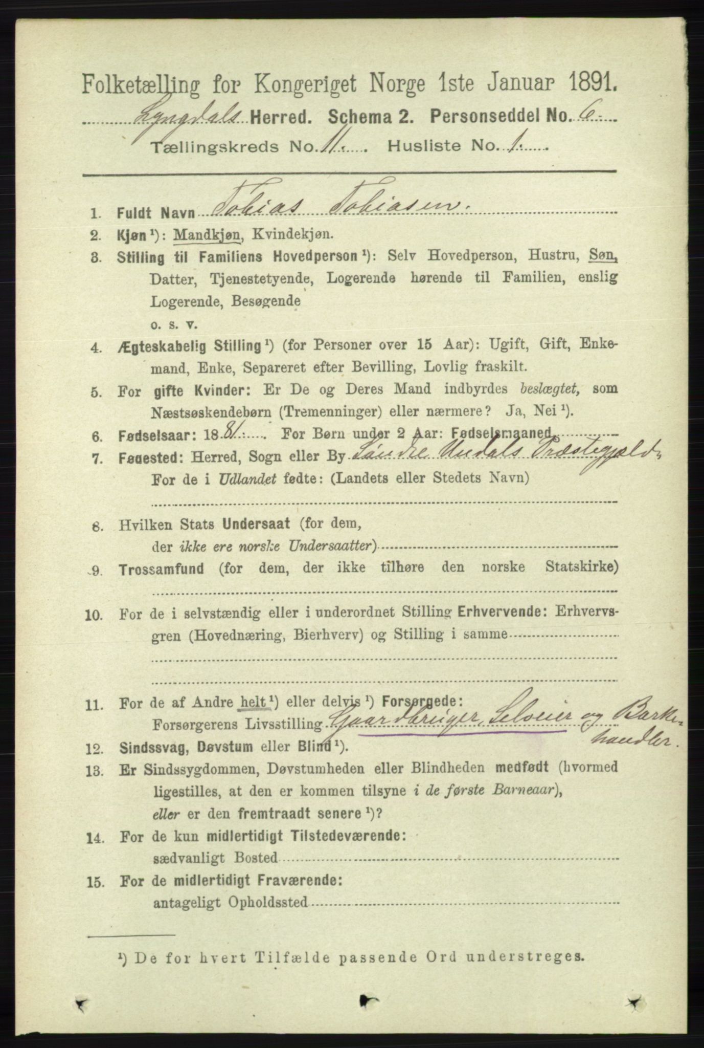 RA, 1891 census for 1032 Lyngdal, 1891, p. 4822